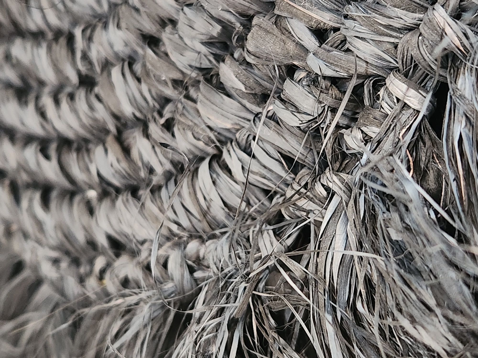 The image displays a close-up, macro view of a dark, woven material. The texture is rough and fibrous, with strands of material twisted and interlaced. The weave appears to be a thick, coarse plaiting or braiding. The color palette is predominantly grayscale, with variations in shade from deep charcoal to lighter gray and white highlights, suggesting a material like dark straw, sisal, or a similar natural fiber. The lighting creates shadows that emphasize the depth and texture of the weave. There are no people, animals, or discernible objects other than the woven material itself. The background is largely out of focus and dark, providing no contextual information about the location. The image does not contain any information that would allow for the identification of a specific location within the city of Maitland, United States of America, nor does it depict any environmental features beyond the texture of the material.