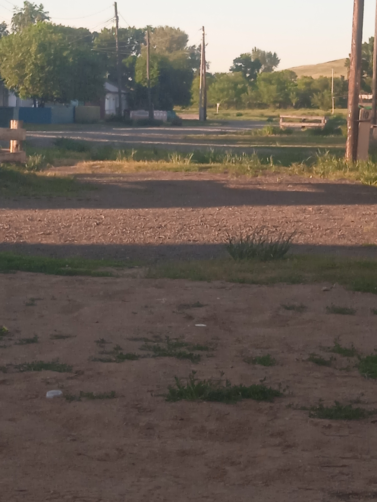 The image depicts an outdoor scene in what appears to be a rural or semi-rural area with a gravel and dirt ground surface. In the foreground, the ground is a mix of loose dirt and sparse green vegetation. Further back, a strip of gravel or crushed stone is visible, partly covered by a shadow. Beyond this, a grassy area with more vegetation leads to a backdrop of trees and a gentle, grassy hillside under a light-colored sky.
Several wooden utility poles are present in the scene. One pole is prominently positioned on the right side of the image and has a small box attached to it. Another pole is located in the mid-ground, to the left of center.
In the mid-ground, a simple wooden bench is situated in front of some trees. To the left, there are structures that resemble houses or outbuildings with colorful fencing. One building has a blue section, another a yellow section, and a white section. A small white object, possibly a piece of trash, is visible on the dirt ground in the lower left quadrant of the image. The overall lighting suggests it is daytime, likely late afternoon or early morning due to the long shadow.
