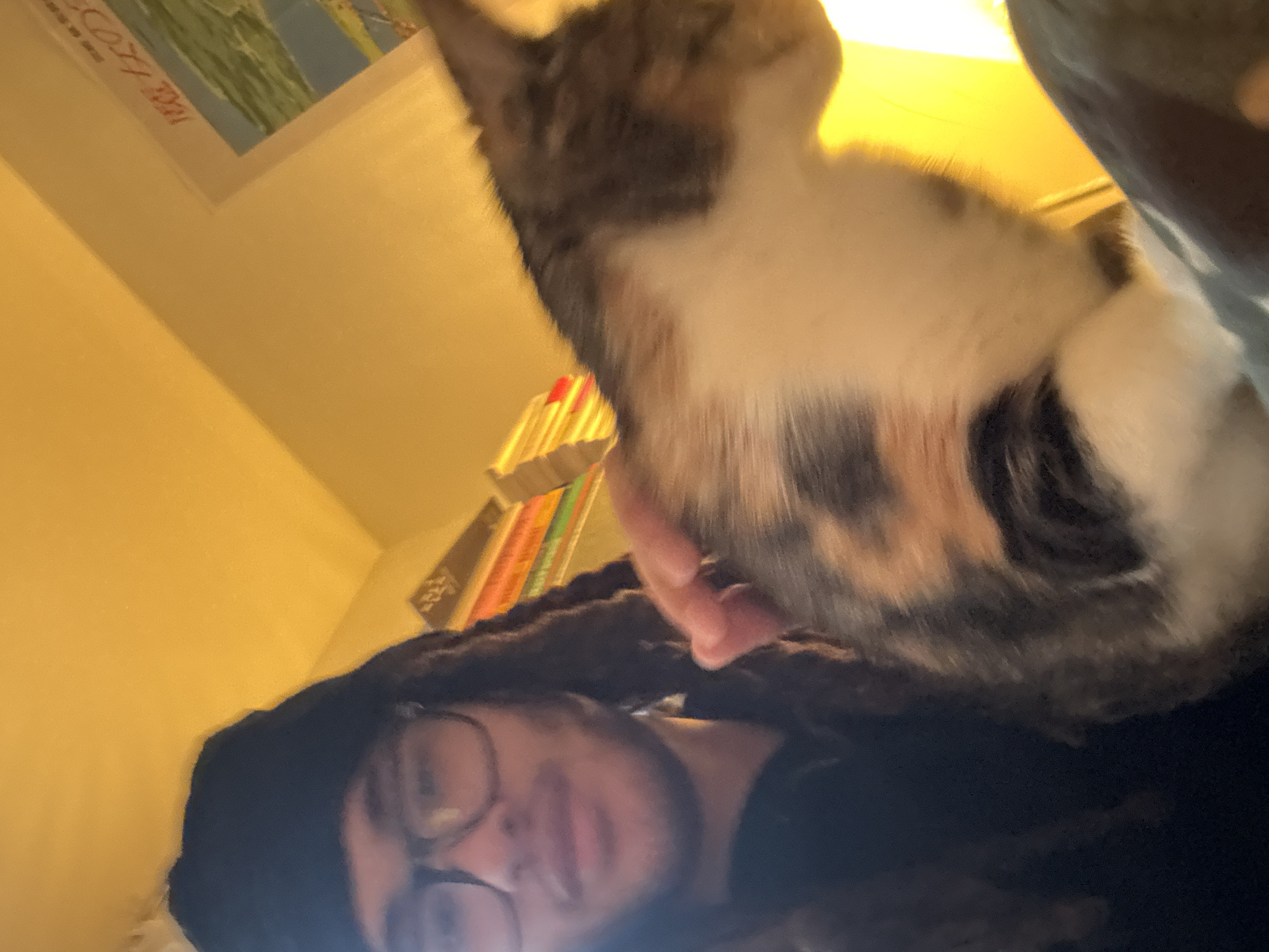 A low-angle shot depicts a person with dreadlocks and glasses looking upwards at the camera. A calico cat is positioned closer to the camera, partially obscuring the background. Books are visible in the background, stacked on a shelf. A framed picture hangs on the wall behind the books. The lighting is warm and appears to be indoors. The location is not discernible to be Paris, France.