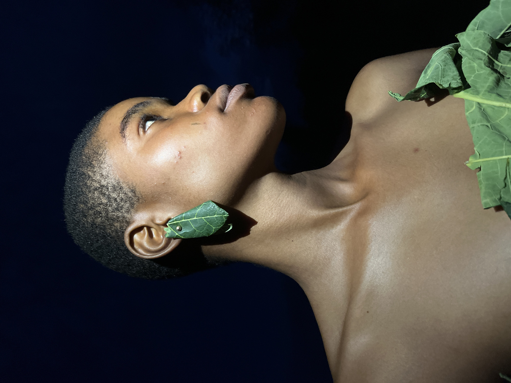 A person with dark skin, short hair, and leaf earrings is angled upwards against a dark background, with leaves partially covering their right shoulder. The background is dark. There is no indication of a specific location in Badagry, Nigeria, in this image.