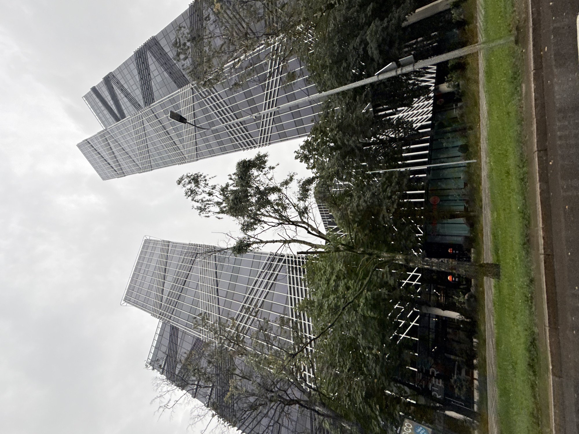 This is a low-angle, wide-shot photograph of two modern skyscrapers in Tallinn, Estonia, on a cloudy day. The buildings are made of glass and steel, with geometric patterns on their facades. In the foreground, there are trees and a grassy area, with a street and sidewalk. The sky is overcast and gray. The architecture suggests a contemporary urban setting, likely a business district. The image captures the scale of the buildings against the muted sky, with the trees providing a natural contrast to the man-made structures.