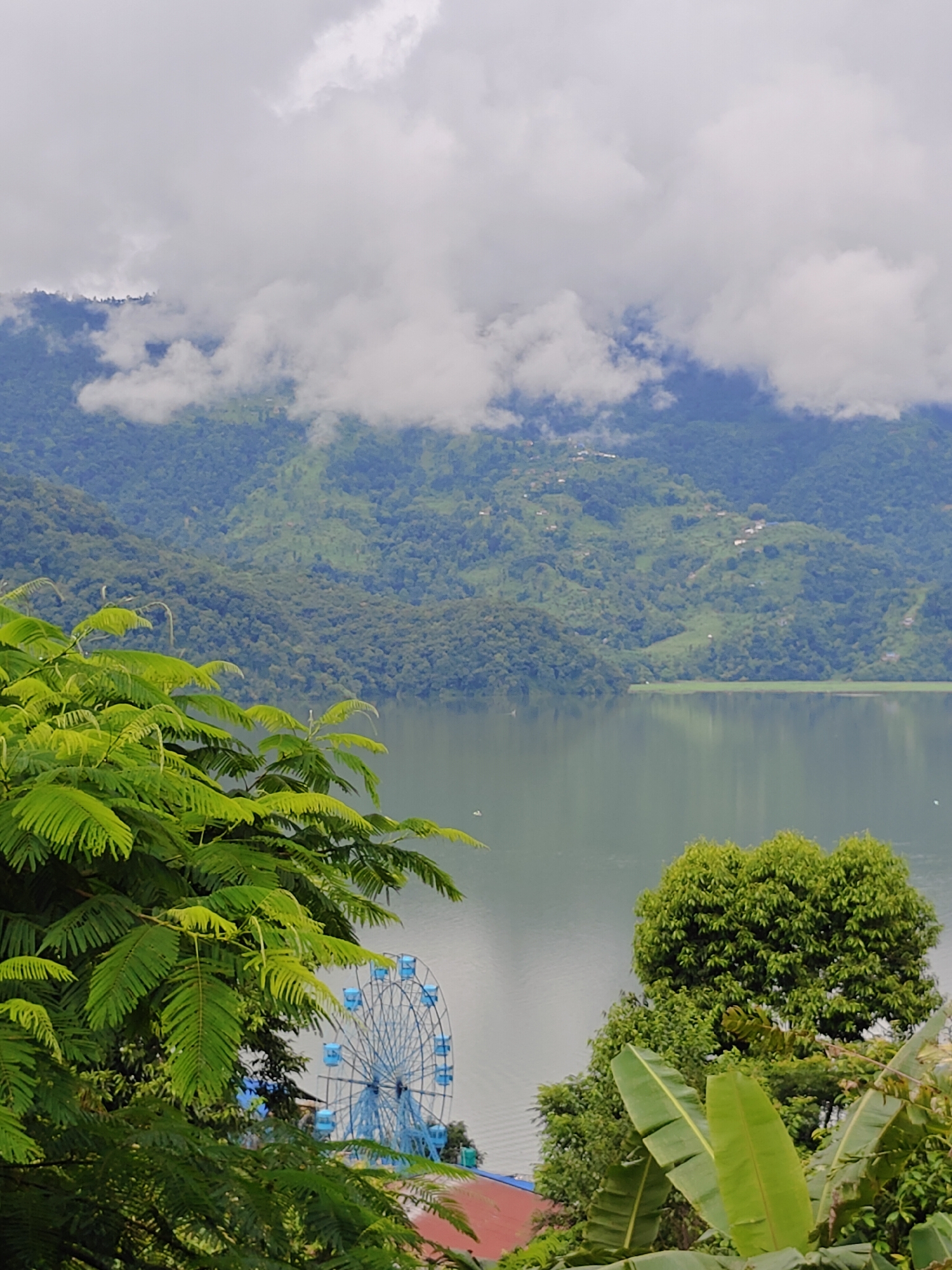 The image depicts a scenic view of Phewa Lake in Pokhara, Nepal. In the foreground, lush green foliage from trees and plants frames the scene. To the left, a portion of a bright blue Ferris wheel is visible, suggesting an amusement area near the lake. The lake itself, with its calm, reflective surface, stretches towards a backdrop of verdant, rolling hills. These hills are densely covered in trees, with scattered small buildings or houses dotting their slopes. The sky above is overcast with soft, diffused clouds, creating a slightly muted and serene atmosphere.