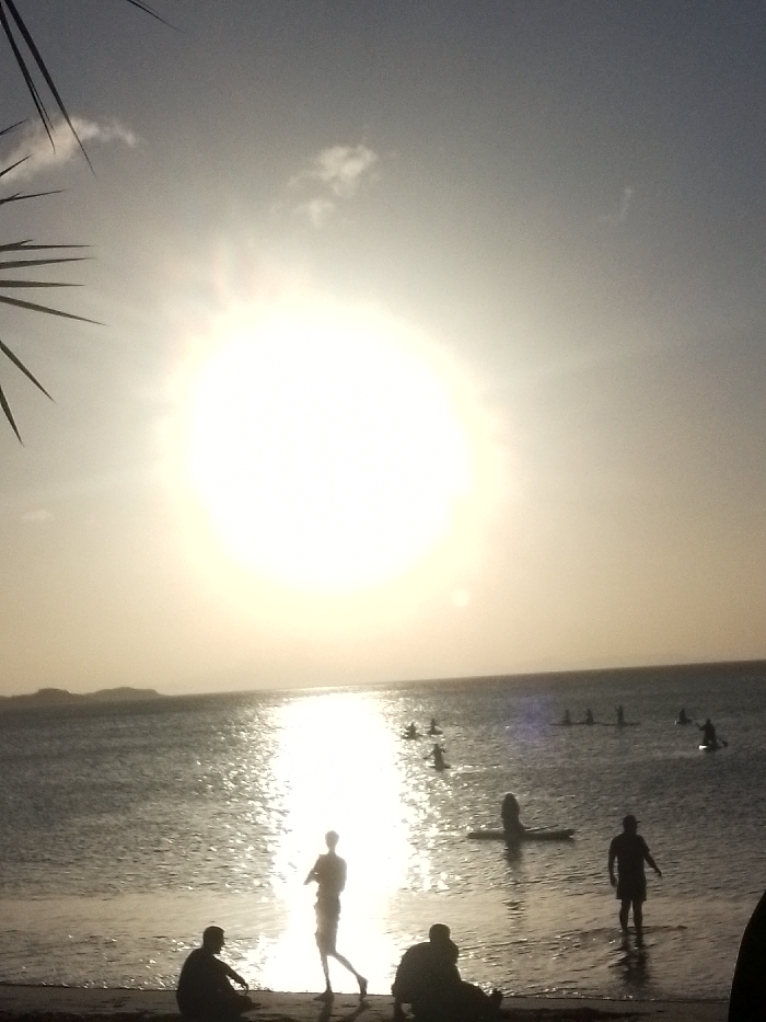 The beach is shrouded in bright sunlight, casting silhouettes of people on the sand and in the water. Several individuals are paddleboarding in the ocean, while others are standing or sitting on the shoreline. The sun's reflection creates a shimmering path on the water's surface, leading toward the horizon. A palm tree frond appears in the upper left corner.