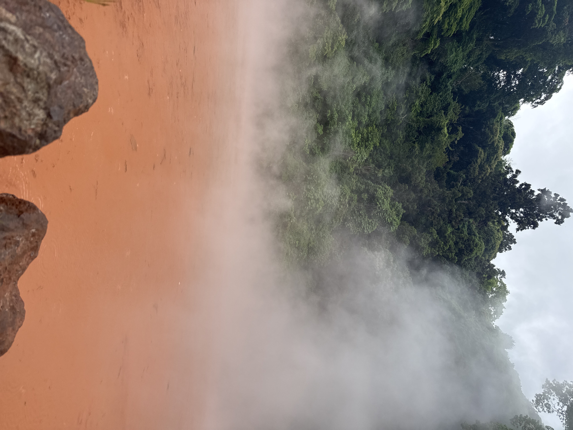 The image captures the "Blood Pond Hell" (Chinoike Jigoku) in Beppu, Japan. On the left, a large reddish-orange pool of hot spring water with a rocky edge is partially visible. Dense steam or mist rises from the pool and obscures the view, blending into the surrounding lush green vegetation. The background includes trees and foliage, likely part of the landscape surrounding the hot spring. The sky is overcast or cloudy, indicating a humid or rainy weather condition.