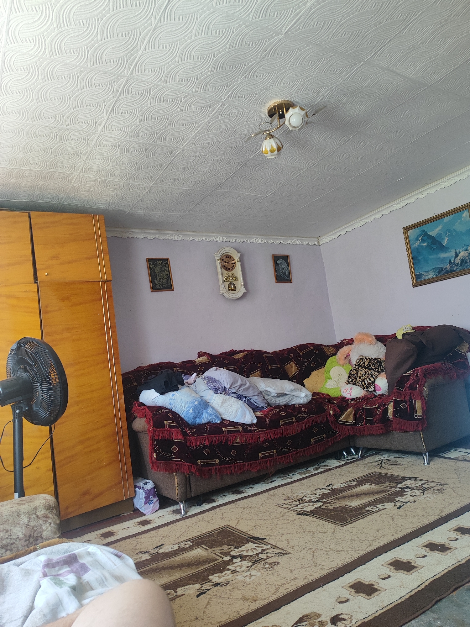 The image depicts the interior of a room, likely a living room, furnished with a sofa, a wooden wardrobe, a fan, and a patterned carpet. The walls are painted a light purple hue, and the ceiling features a textured pattern. On the wall, a framed picture of a mountain landscape, a framed drawing of a bird, and a clock are visible. The sofa is adorned with a dark red patterned throw blanket and several stuffed animals and pillows. A black fan stands to the left of the image, near the wooden wardrobe. The floor is covered by a large, beige rug with a brown patterned design. The overall scene suggests a lived-in space. Without further context or visual cues specific to Ridder, Kazakhstan, it is impossible to confirm the location within that city.