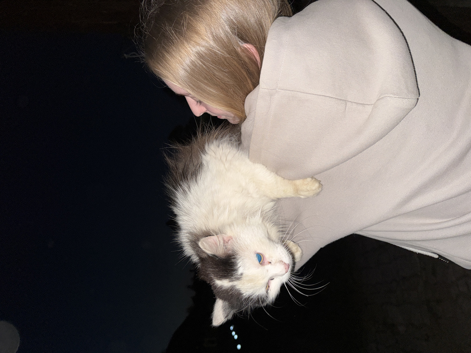 A person with long, light brown hair is holding a white cat with gray markings and blue eyes against their shoulder. The person is wearing a light-colored hoodie. The background is dark, possibly night, with a few blurred lights visible in the lower left corner. The location of Zhigalki, Russia, is not discernable from the visual information provided.