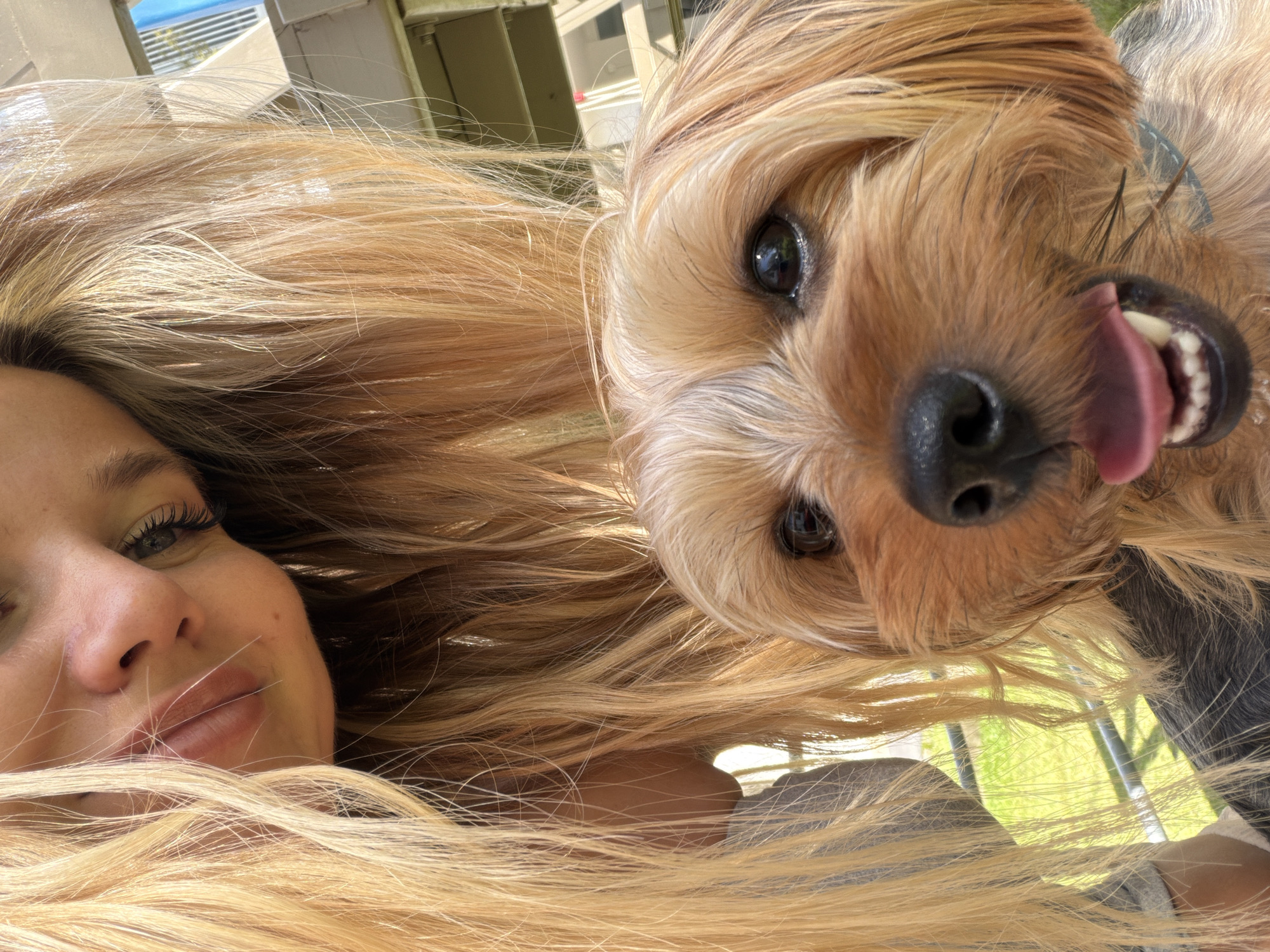 A selfie shows a woman and a Yorkshire terrier dog. The woman's face is partially visible, with her blonde hair framing her features. The dog is in the foreground, its face close to the camera, with its mouth open and tongue visible. The background appears to be outdoors, with greenery and structures suggesting a residential area. The lighting indicates it is daytime. The image appears to be taken in Thep Krasatti, Thailand.