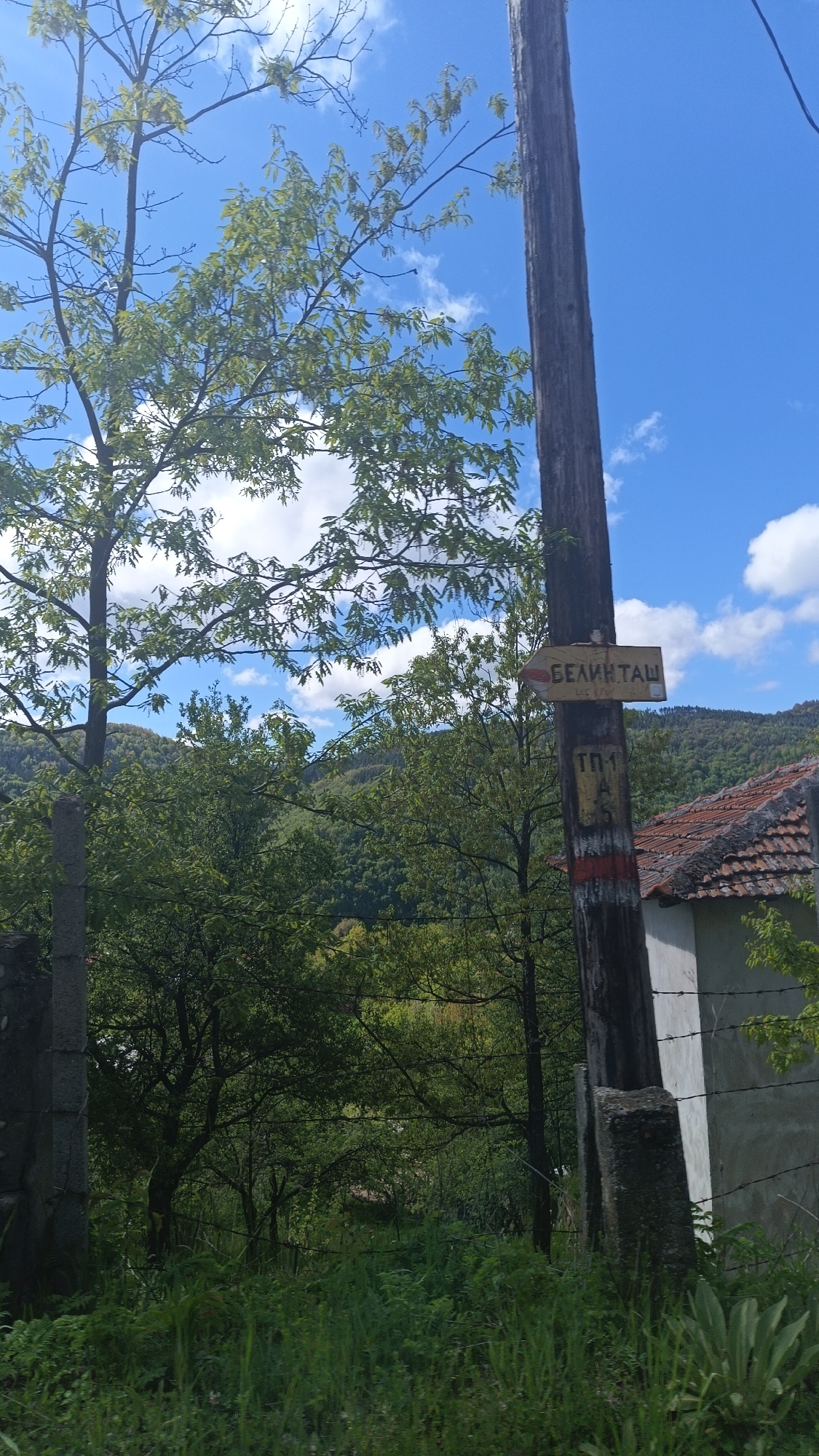 The image shows a wooded area in what appears to be a rural part of Vrata, Bulgaria. The sky is blue with scattered white clouds. A wooden utility pole stands prominently in the right center of the frame. Attached to the pole is a yellow sign with black text and a left-pointing arrow, likely indicating a direction towards "Белинташ" (Belintash). Below the sign, there is a marking "ТП-1" in white and a red and white striped marking. The pole stands next to a small, white building with a tiled roof, which looks dilapidated. A concrete post is present on the left side of the frame. Lush green vegetation, including trees and grass, fills the background and foreground. The scene appears to be a rural location with natural and man-made elements.