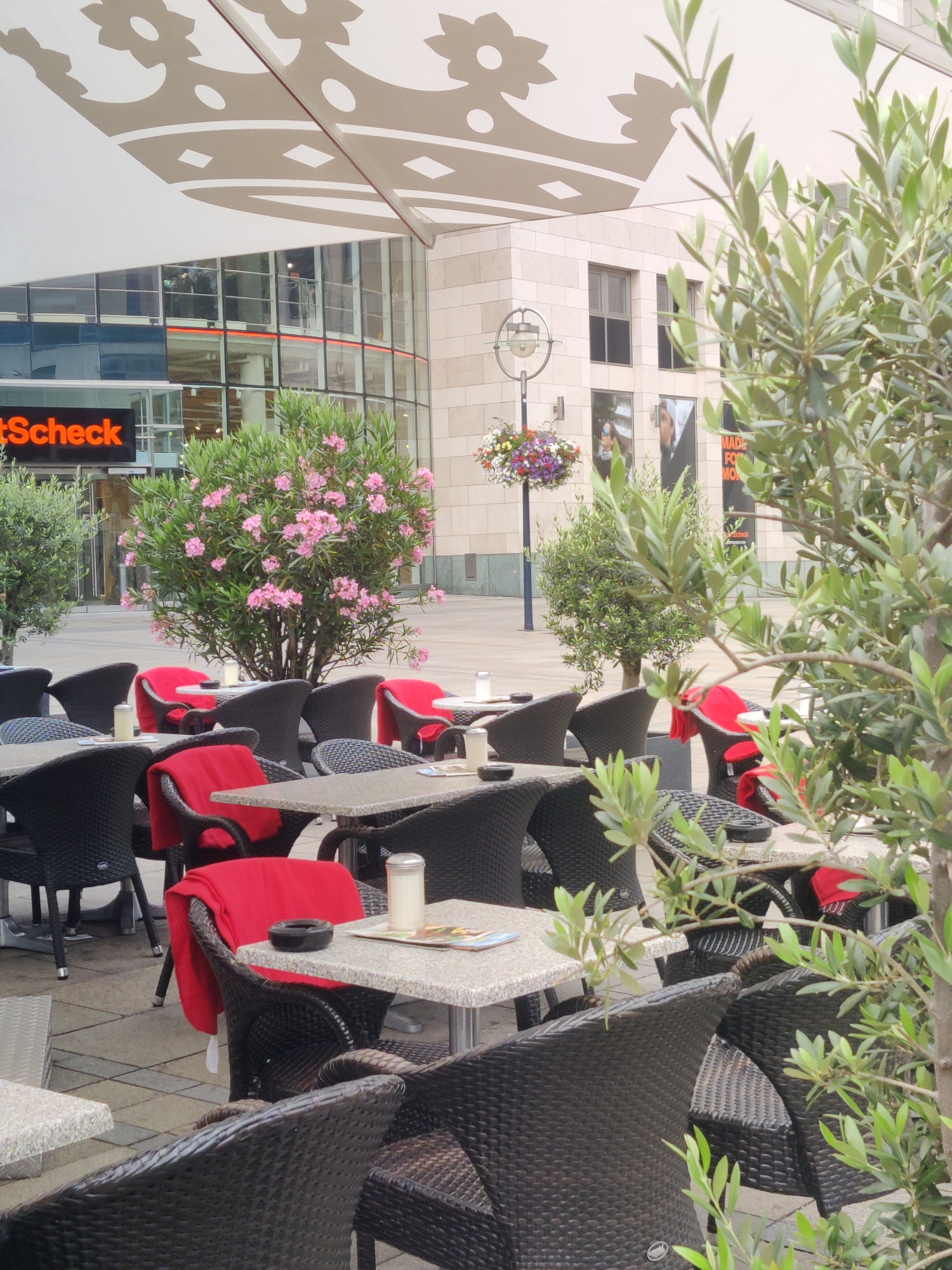 This image depicts an outdoor seating area of a cafe, likely located near the Westenhellweg in Dortmund, Germany, given the presence of the "Scheck" signage. The scene is an exterior shot of a cafe with tables and chairs arranged under a large, white canopy. The canopy features a decorative pattern of light brown floral shapes. In the background, a modern building with large glass windows and stone facade is visible. A street lamp with a basket of flowers hangs on a pole in the middle ground.
The cafe seating consists of dark woven chairs, many of which are draped with red blankets. Several tables, made of a speckled grey material, are set with ashtrays and what appear to be sugar dispensers or salt and pepper shakers. Small bushes and a larger flowering shrub with pink blossoms are strategically placed around the seating area, providing some greenery and color. In the foreground, the branches and leaves of an olive tree partially obscure the view of the cafe tables and chairs. The overall impression is that of a pleasant outdoor dining or waiting area, possibly during daytime given the lighting, though the sky is not directly visible. No people are clearly visible in the immediate cafe seating area.