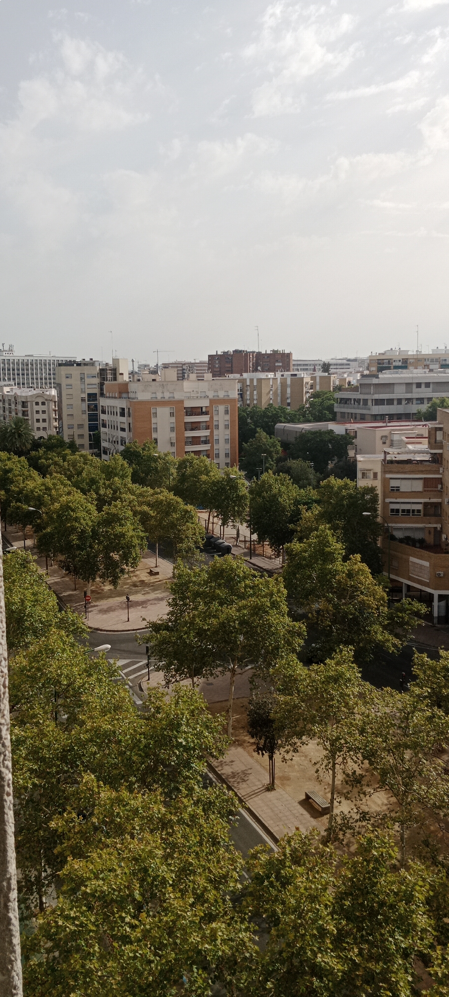 This is a vertical, eye-level, medium shot of a city park with buildings in the background, taken from a high vantage point. The image shows lush green trees with dense foliage dominating the foreground and midground, obscuring much of the park's details. A paved path runs through the park, and a park bench is visible. A street is also visible with a parked car. In the background, several multi-story residential buildings of varying architectural styles and colors are clustered together. The sky is overcast with light clouds. The location is likely a residential area within the city of Seville, Spain, given the architecture and vegetation. No people are clearly visible or engaged in any discernible actions.