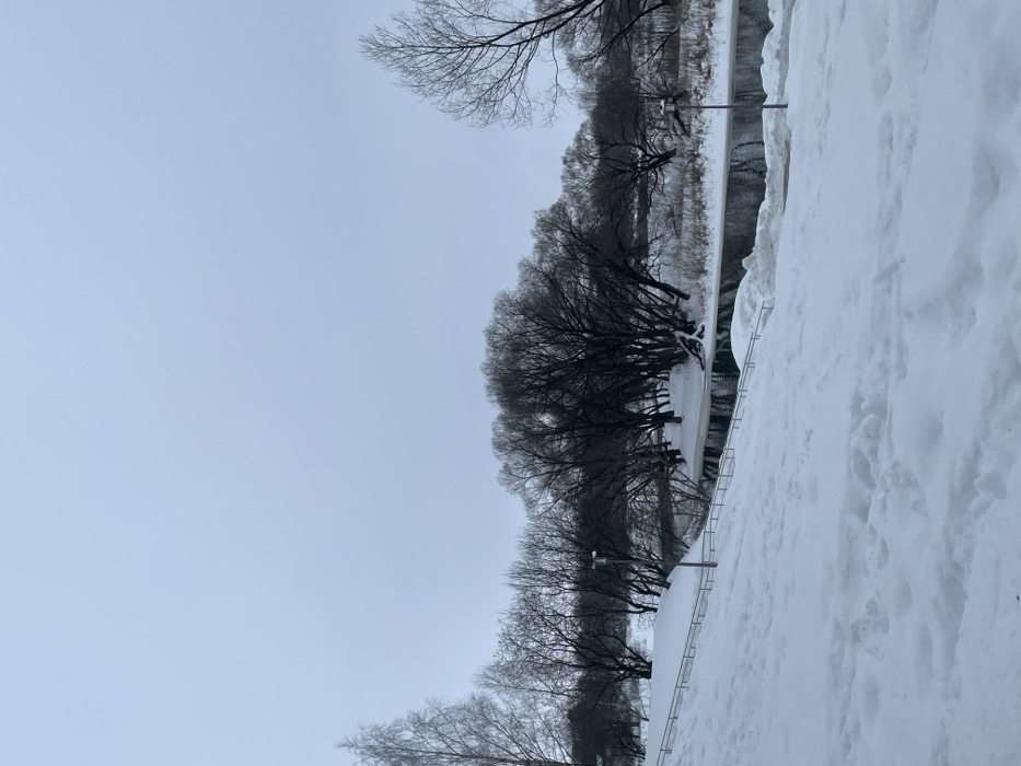 The image captures a snow-covered winter landscape in Fabriki 1 maya, Russia, under an overcast, light gray sky. The foreground shows a deep, undisturbed expanse of white snow covering an inclined embankment, sloping downwards towards the left. A light-colored metal handrail, consisting of two parallel bars, follows the contour of this slope. Indentations and tracks are visible in the snow in the immediate foreground, suggesting foot traffic.
In the midground, a dark, partially frozen river flows horizontally across the frame. Its banks are heavily covered in snow and fringed with ice, particularly along the far side. Numerous bare deciduous trees with dark trunks and branches line both sides of the river, forming a dense, leafless canopy that dominates the middle and background. Several trees on the far bank appear to lean towards or over the water. A dark lamppost with two light fixtures is visible on the near bank, positioned to the right of the handrail and slightly above the river level. Another similar lamppost can be seen further to the right, closer to the water's edge on the far side. The background consists of more bare trees extending into the distance, beneath the uniformly gray sky. No people or animals are present.