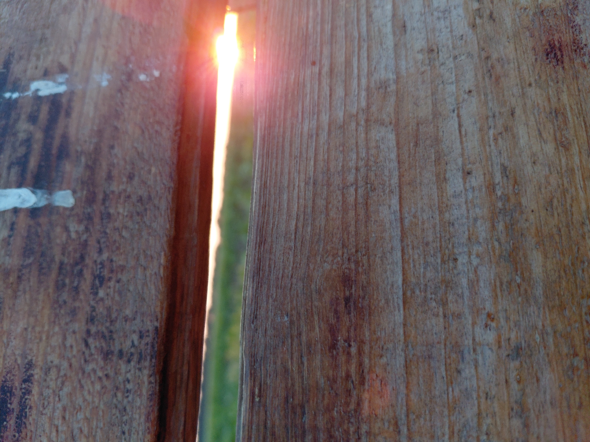 The image shows a close-up view of weathered wooden planks, likely part of a bench or fence. The wood has a textured grain, with visible lines and some darker, weathered patches. In the background, a sliver of a bright, orange-pink sunset is visible between the planks, casting a warm glow and lens flare onto the scene. The sky is a pale orange, and a blurry green field is also present below the sunset. There is no indication of people or specific actions. The image provides no contextual information about its location in Ustyvytsia, Ukraine.