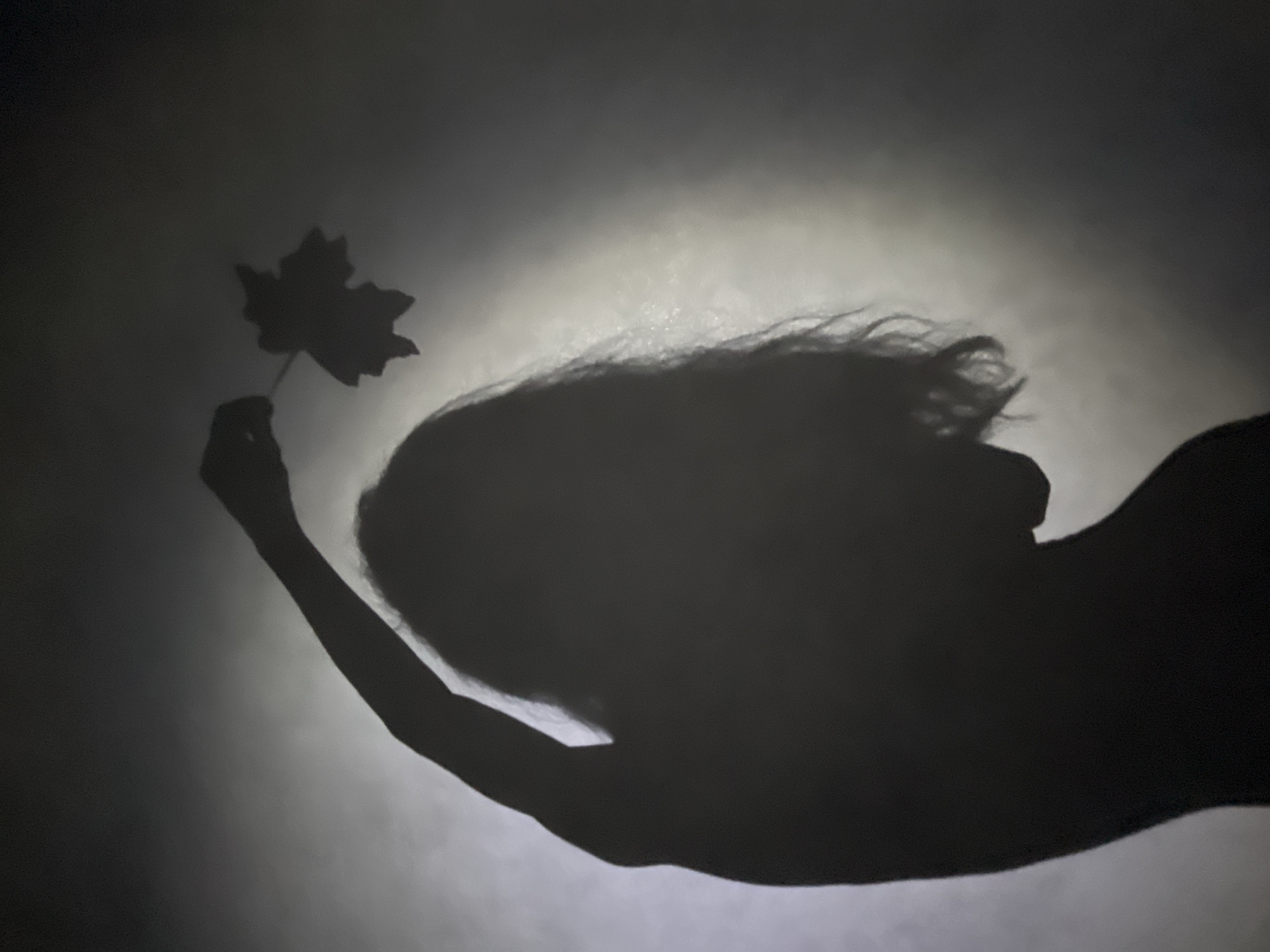 A silhouette of a woman holding a leaf is cast on a surface. The origin of the image is unknown, and there is no indication it was taken in the city of Chaikovsky, Russia.