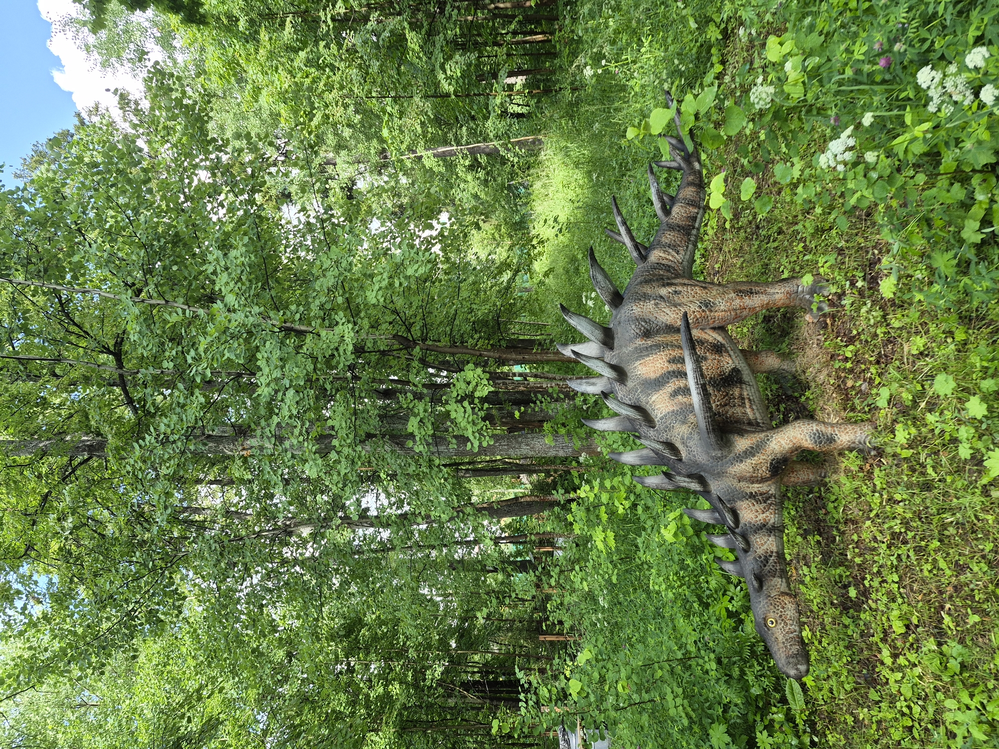 This media file shows a full-shot of a dinosaur model in a forest setting. The dinosaur appears to be a Stegosaurus, with its distinctive plates along its back and spiked tail. The model is positioned on the right side of the frame, lying on its side amidst lush green grass and foliage. Its skin is textured and colored in earthy tones of brown and tan, with darker stripes.
The background is dominated by a dense forest of deciduous trees, with sunlight filtering through the leaves, suggesting it is daytime. The sky is partially visible at the top left, appearing bright with some white clouds. The overall scene evokes a natural, slightly wild environment, possibly a park or an outdoor exhibition. There is no visible text in the image. The context provided indicates the location is Izhevsk, Russia. No people or specific events are depicted.