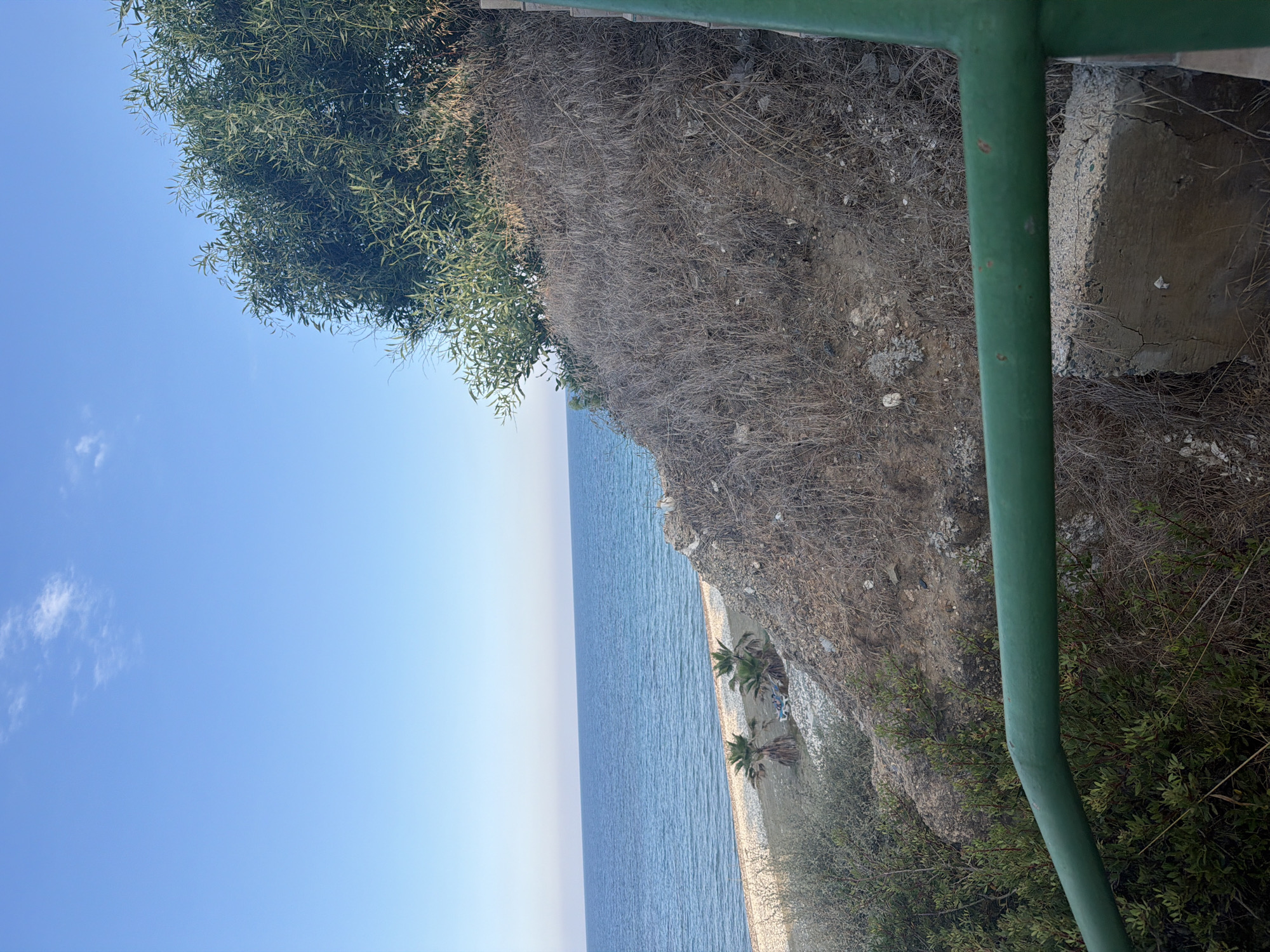 A scenic overlook in Meneou, Cyprus, offers a view of the Mediterranean Sea and a pebbled beach. In the foreground, a green metal railing curves around a patch of dry, thorny brush and a concrete structure. Behind the railing, a steep, dry hillside is covered in dead grasses and sparse rocks, topped by the lush green foliage of a large tree. The sea, a calm expanse of blue, meets the horizon under a clear sky with a single wispy cloud. On the beach below, two palm trees stand near a couple of lounge chairs, one of which is occupied by two individuals.