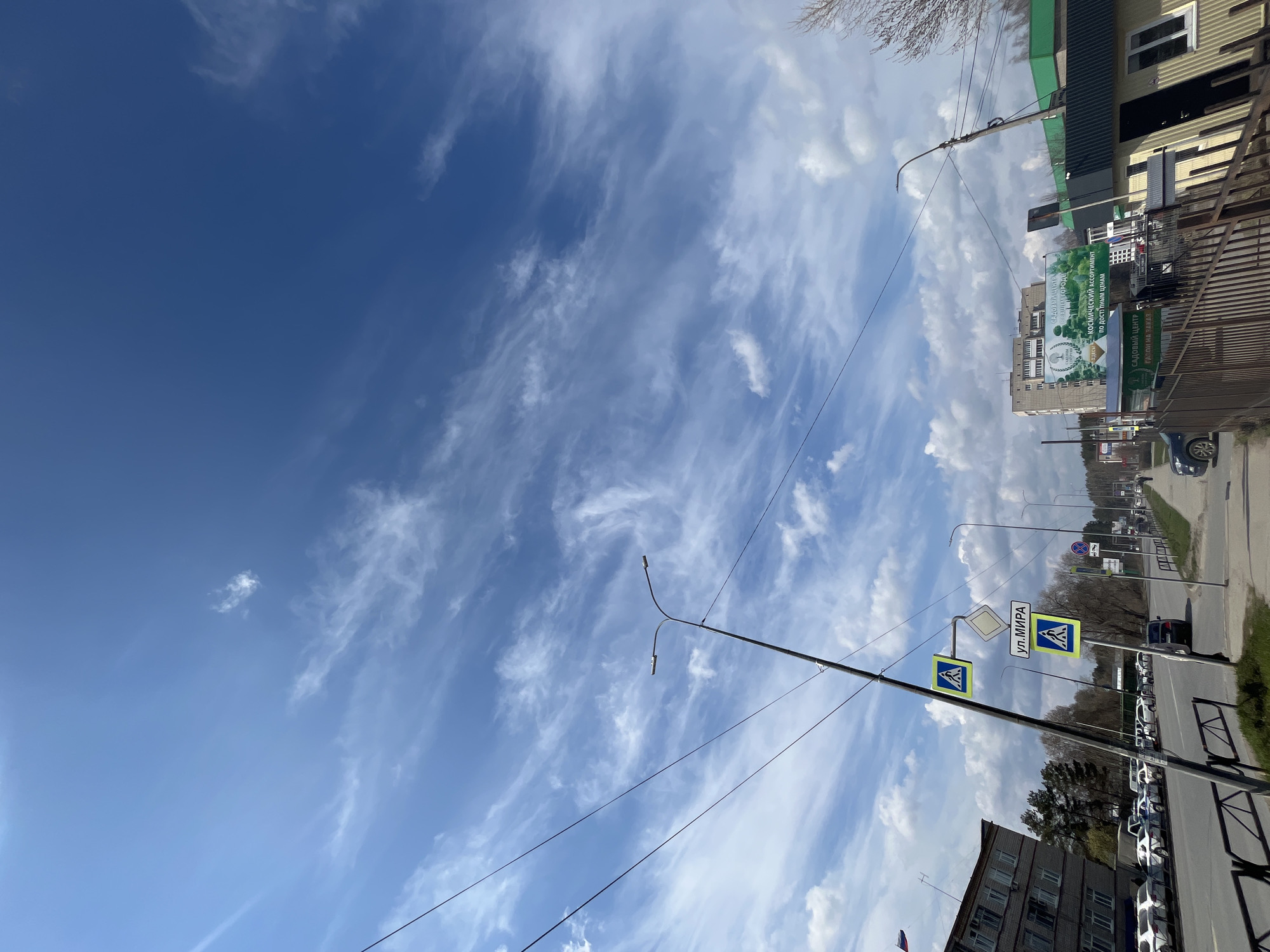 This image captures a bright, daytime street scene in Chaikovsky, Russia. The sky dominates the upper portion, featuring a deep blue expanse dotted with scattered white, wispy cirrus clouds and some larger cumulus formations, suggesting fair weather.
The scene depicts a street with buildings lining both sides and parked vehicles along the curbs. On the left side of the street (when viewed upright), a multi-story building with numerous windows is visible, along with parked cars. A prominent lamppost stands near the road, bearing road signs in Cyrillic. One sign clearly reads "ул. МИРА" (ul. MIRA), translating to "Peace Street," identifying the location. Two additional signs indicate pedestrian crossings with the universal blue square and white triangle icon.
The right side of the street features commercial establishments, including buildings with green-colored elements and a fence running along the sidewalk. Several large billboards are present, advertising a "САДОВЫЙ ЦЕНТР" (Garden Center). Visible text on these billboards includes "ЗДЕСЬ КОСМИЧЕСКИЙ АССОРТИМЕНТ ПО ДОСТУПНЫМ ЦЕНАМ" (Here is a cosmic assortment at affordable prices) and "ГАЗОН НА ЗАКАЗ" (Custom lawn). More parked cars are visible along this side, including a dark-colored vehicle. Trees with early spring foliage or bare branches are scattered throughout the background.
Overhead, a network of power lines and streetlights traverse the blue sky, adding to the urban infrastructure. The overall impression is that of a typical urban street during daylight hours, with no specific activities or people clearly discernible, providing a snapshot of daily life in the specified Russian city.