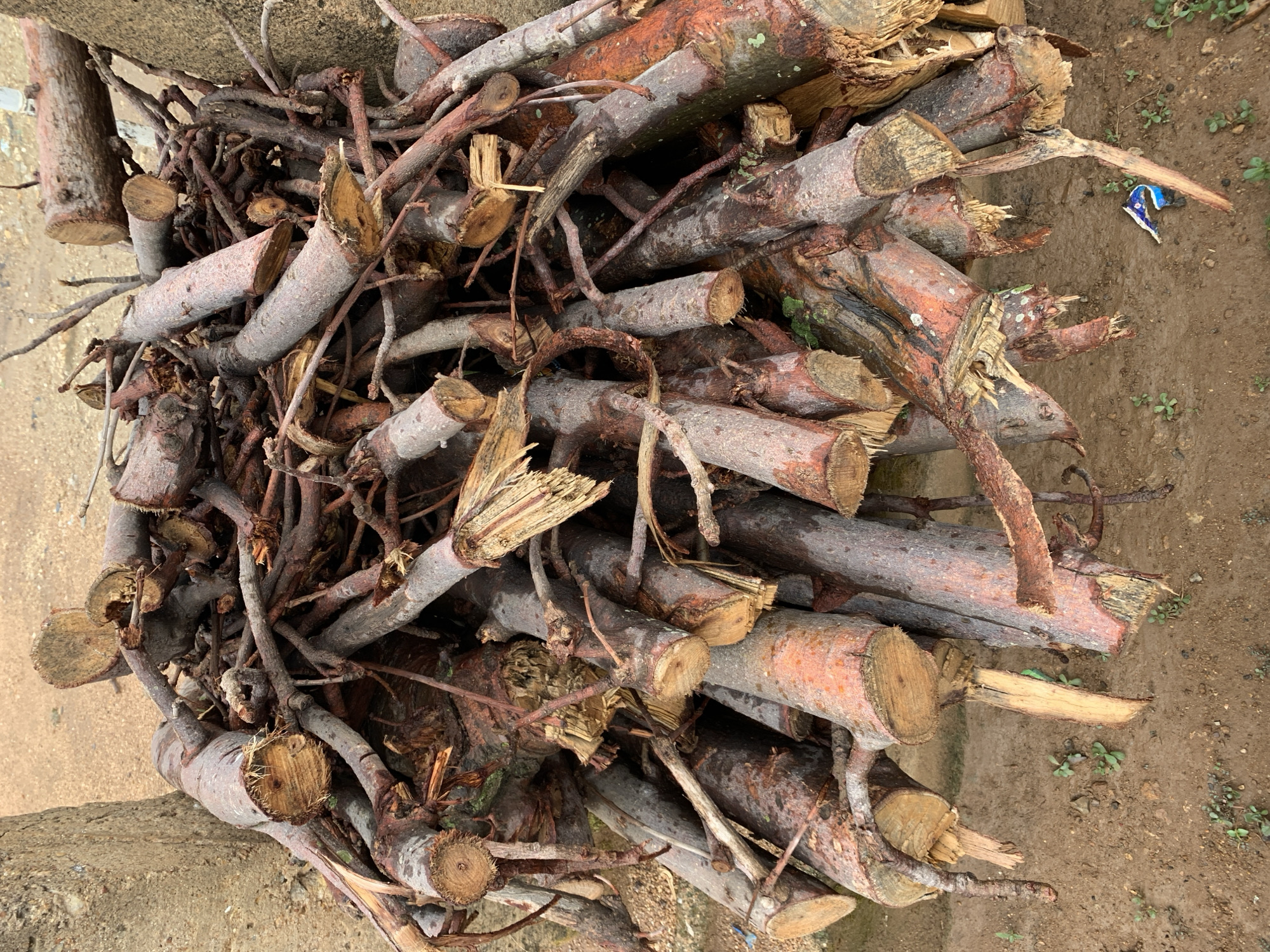 A pile of cut tree branches and logs lies on the ground next to a concrete surface. The branches vary in size, from small twigs to larger logs, and show fresh cuts. The ground is bare earth with some sparse vegetation. A small piece of blue and white refuse is visible on the ground near the logs. There is no information available about the specific location in Rafin Par, Nigeria. No people are visible. The scene depicts freshly cut wood debris.