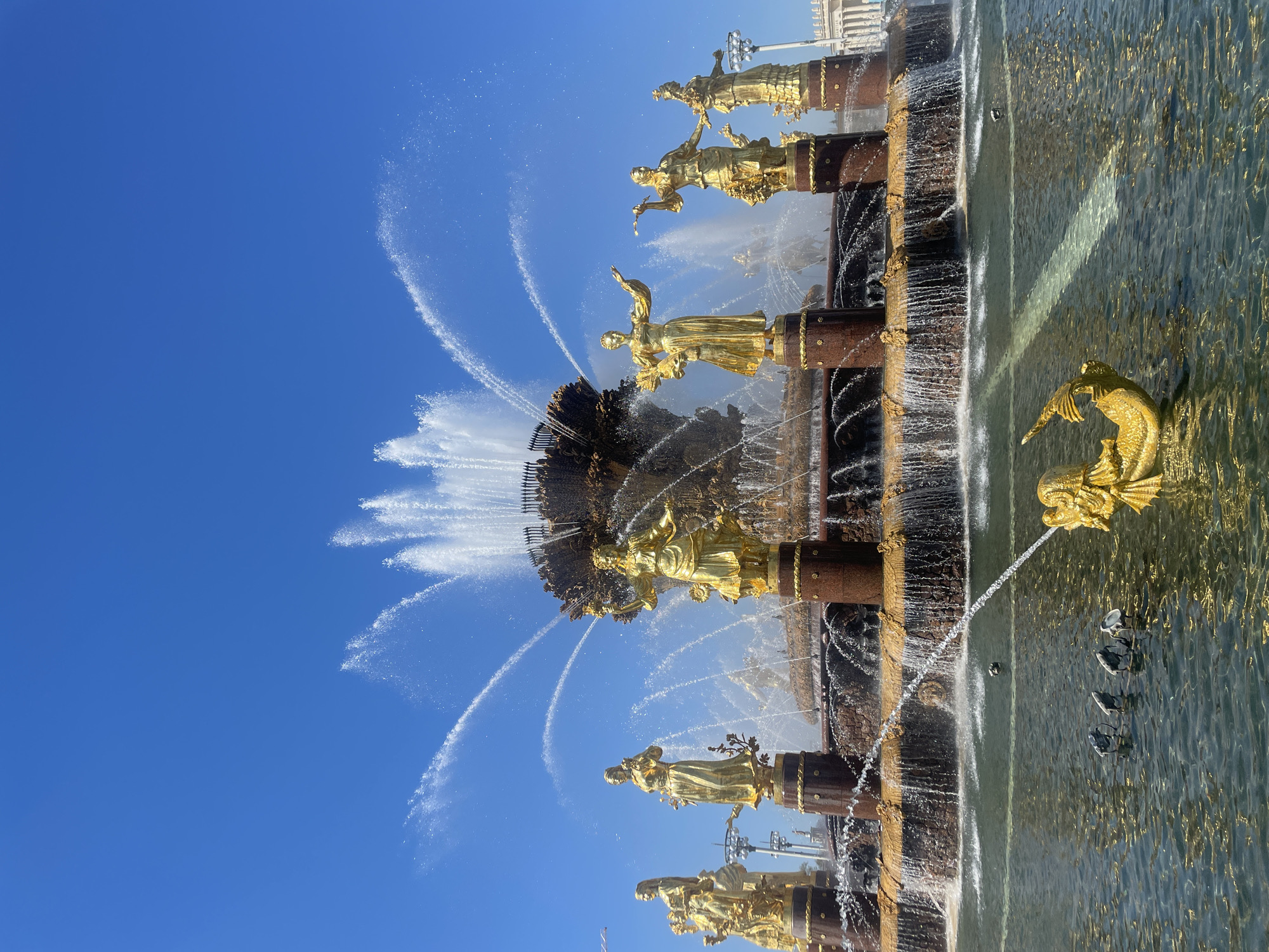 The image depicts the Friendship of Nations Fountain, a prominent landmark in Moscow, Russia. The fountain features sixteen gilded statues representing the Soviet Union's republics. These statues are arranged around a central pedestal from which water jets rise. The clear blue sky provides a stark contrast to the golden statues and the fountain's cascading water. The water flows into a pool, reflecting the sunlight. The scene is captured from a slightly low angle, emphasizing the height and grandeur of the fountain.