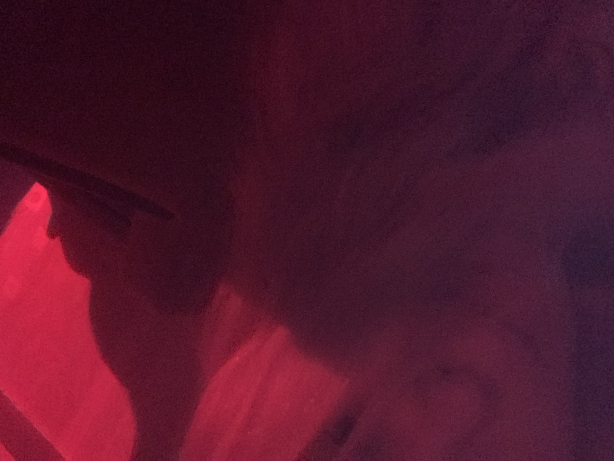 This abstract image is dominated by deep red and dark purple hues, indicating a low-light environment with a strong red light source. The lighting is dramatic, casting intense red illumination across portions of the scene while leaving other areas in deep shadow.
In the lower-left quadrant, a prominent bright red area contains dark, silhouetted shapes. These shapes strongly resemble the profiles of human heads or faces, suggesting the presence of at least two people in close proximity. One silhouette, clearly visible towards the left, shows the distinct outline of a person's head with a visible nose and chin. Other less defined forms within the bright red highlight further contribute to the impression of human subjects. The texture in these lit areas appears soft, possibly like skin or fabric.
The extreme lighting conditions and grainy texture contribute to a mysterious and atmospheric setting. The strong red glow suggests an indoor location such as a club, concert, or a similar entertainment venue where mood lighting is used. No specific objects other than potential human forms are clearly discernible. There is no visible text in the image. The overall impression is one of intimacy or a moment captured in a vibrant, dimly lit space.