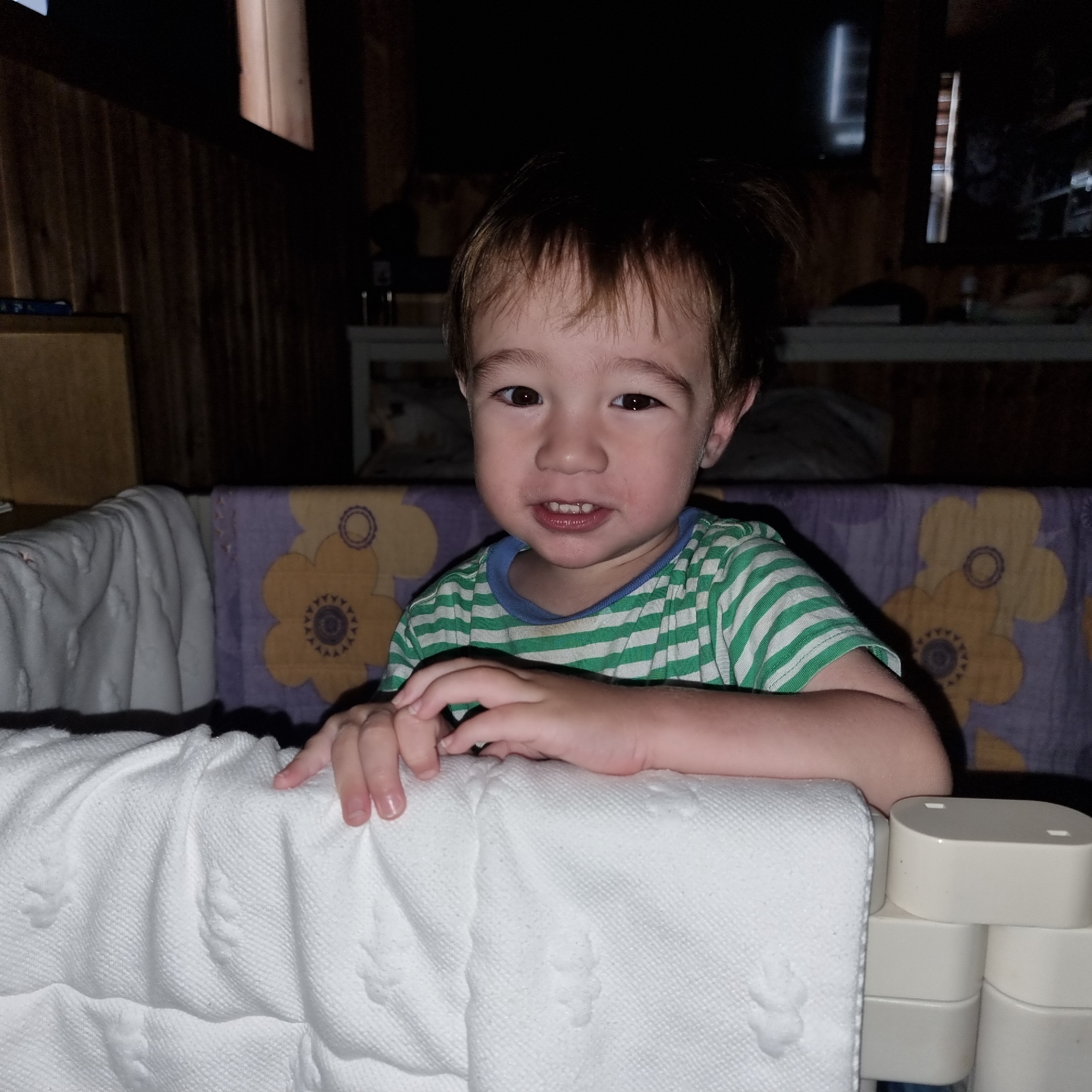 A young child with brown hair and brown eyes is leaning over the edge of a crib, resting their arms on the railing. The child is wearing a green and white striped t-shirt with a blue collar. The crib has a white padded bumper and a purple and yellow floral sheet. The background shows a wooden wall and some shelving. The image appears to be taken indoors.