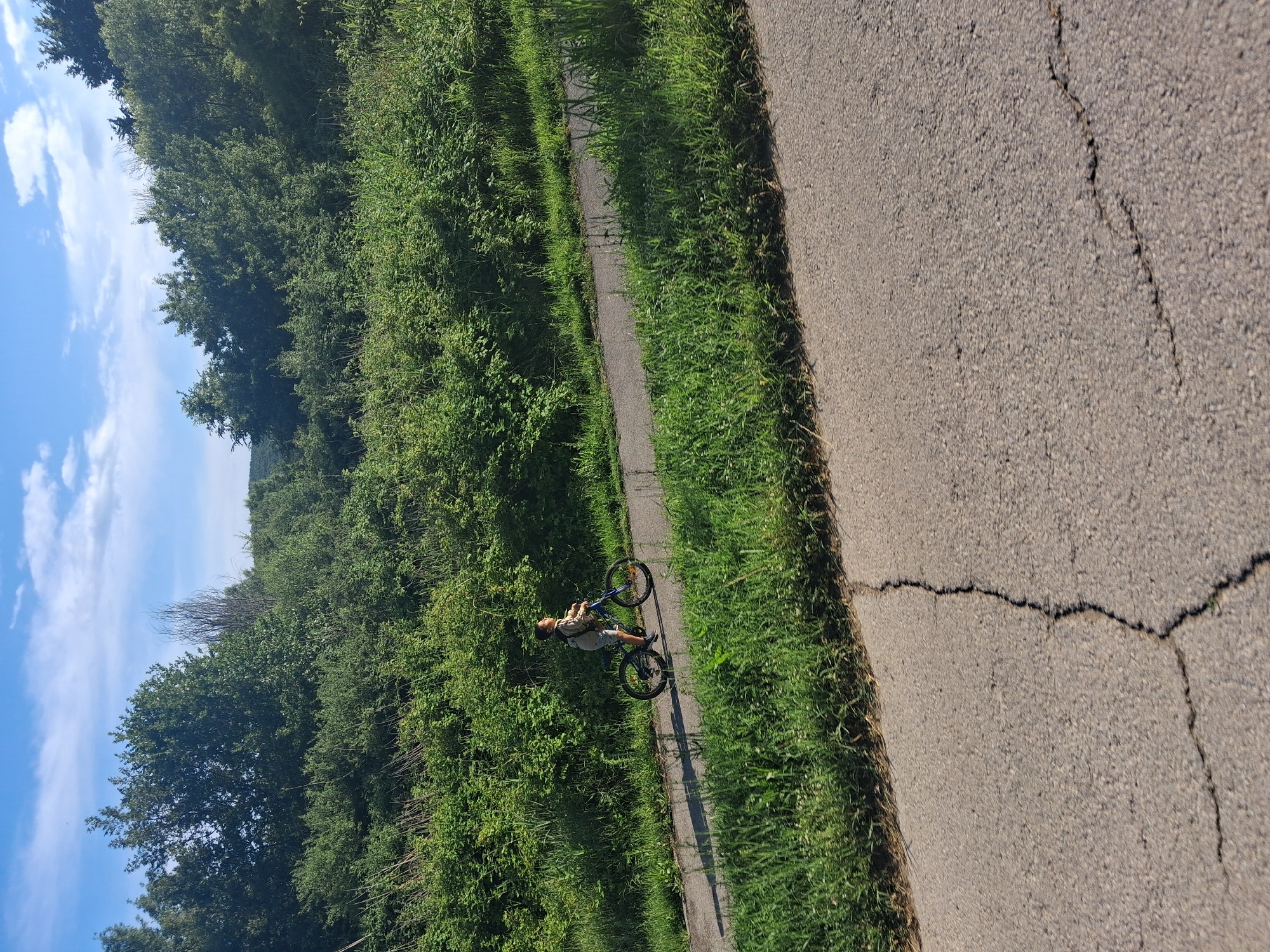 The image displays an outdoor daytime scene, reportedly located in Shkorpilovtsi, Bulgaria. A young boy, dressed in a light-colored long-sleeved top and dark shorts, is actively riding a blue-framed bicycle on a narrow, dark asphalt path that traverses the middle ground from left to right. His head is turned slightly to his right, looking upwards and forward. Both the boy and his bicycle cast distinct, elongated shadows to their left, indicating bright sunlight from the right.
The background is dominated by a dense expanse of lush green vegetation, including tall bushes and trees, which forms a continuous wall of foliage stretching across the image and rising towards a distant horizon. Above this verdant landscape, a clear blue sky with scattered white cumulus clouds occupies the upper portion of the frame. In the foreground, a wider, cracked asphalt surface, possibly a road, runs diagonally from the lower-left to the lower-right, featuring a prominent, irregular crack extending vertically through its center-right. Both the narrow path and the wider asphalt surface are bordered by areas of unkempt, vibrant green grass and weeds.