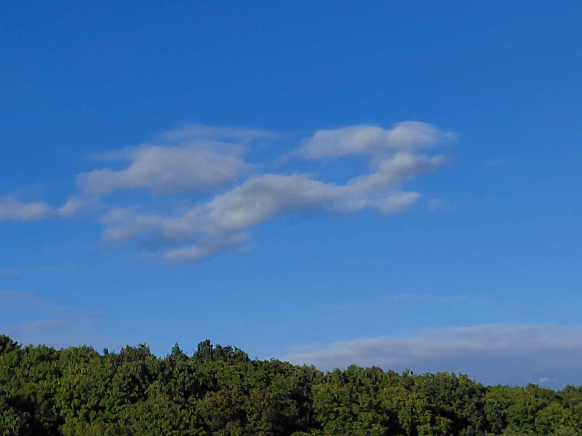 The image is a landscape photograph of a clear blue sky with scattered white clouds above a dense line of green trees. The trees form a natural horizon across the bottom of the frame. The clouds are wispy and appear to be at a moderate altitude. The scene is tranquil and appears to be outdoors, possibly in a rural or semi-rural setting. There are no people or man-made structures visible in the image. The photograph was taken on August 19, 2023.