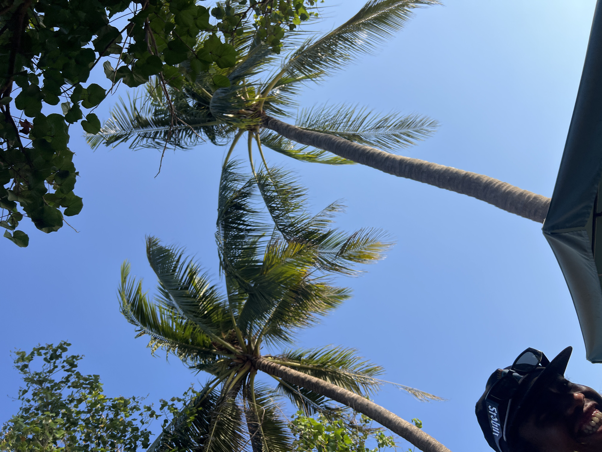 A person wearing a black baseball cap and sunglasses is looking up at two palm trees against a clear blue sky. The person is partially visible in the bottom left corner of the image, with their face in shadow except for their mouth and teeth, which are smiling. The palm trees are tall and slender, with fronds that reach towards the sky. Green leaves from another tree frame the top of the image. The scene appears to be outdoors, possibly at a beach or resort, given the presence of palm trees and the casual attire of the person. The location is Kuta, Indonesia.