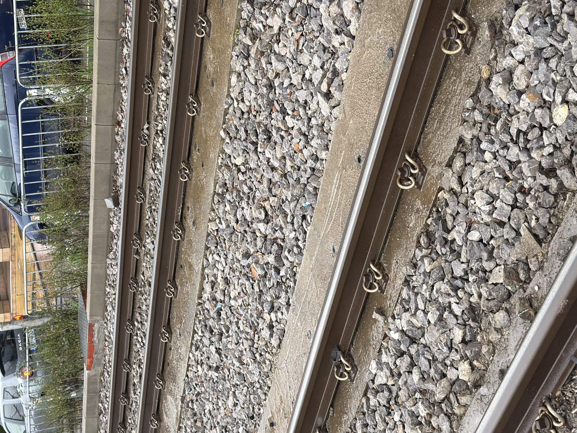 The scene depicts three parallel sets of wet tram tracks in Sofia, Bulgaria, viewed from an elevated perspective. Each track consists of dark brown metal rails secured to a concrete base by metallic clips. Grey aggregate ballast fills the spaces between the concrete elements. Beyond the outermost track, a concrete curb is visible, followed by a line of sparse green bushes and a silver metal barrier fence. Behind the fence, parked vehicles are partially discernible: a grey Dacia Duster SUV on the left, displaying a Bulgarian license plate starting with "CA 94...", and a dark blue sedan on the right, bearing the full Bulgarian license plate "CB 9863 PM," which identifies the location as Sofia. A square metal grate on a red base is positioned on the ground behind the curb near the Dacia. All surfaces appear wet, suggesting recent precipitation. No individuals or dynamic actions are present in the image.