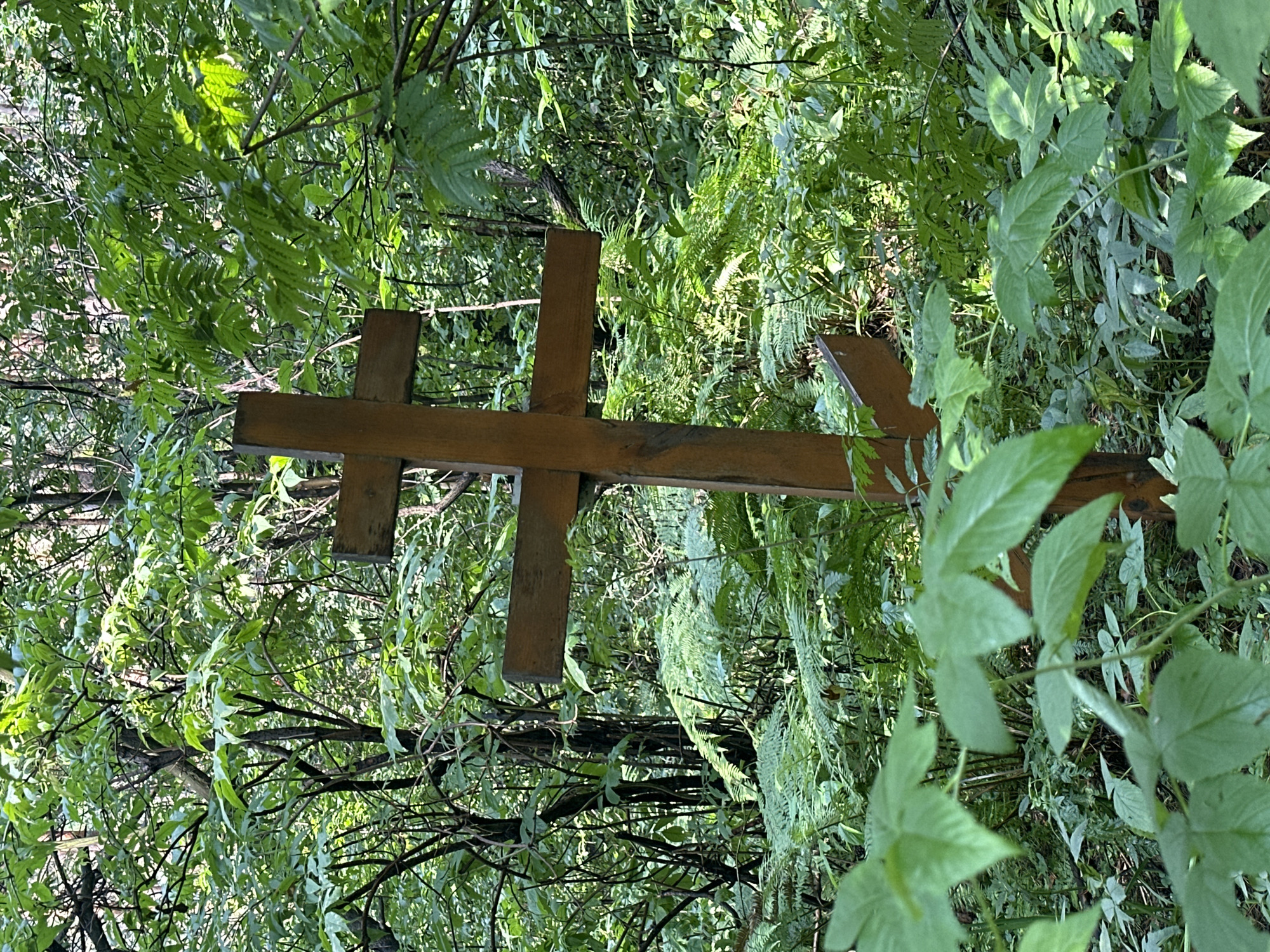 A wooden Orthodox Christian cross stands upright in a dense forest. The cross is made of light-colored wood and has the characteristic eight-pointed shape with a smaller horizontal bar near the top and a diagonal bar near the bottom. It is partially obscured by lush green foliage, including ferns and broad-leafed plants, which suggest a humid and overgrown environment. Sunlight filters through the canopy, casting dappled shadows on the cross and the surrounding undergrowth. The scene appears to be located in a natural, wooded area within the city of Beryozovsky, Russia, possibly a cemetery or a memorial site. There are no people visible in the image.