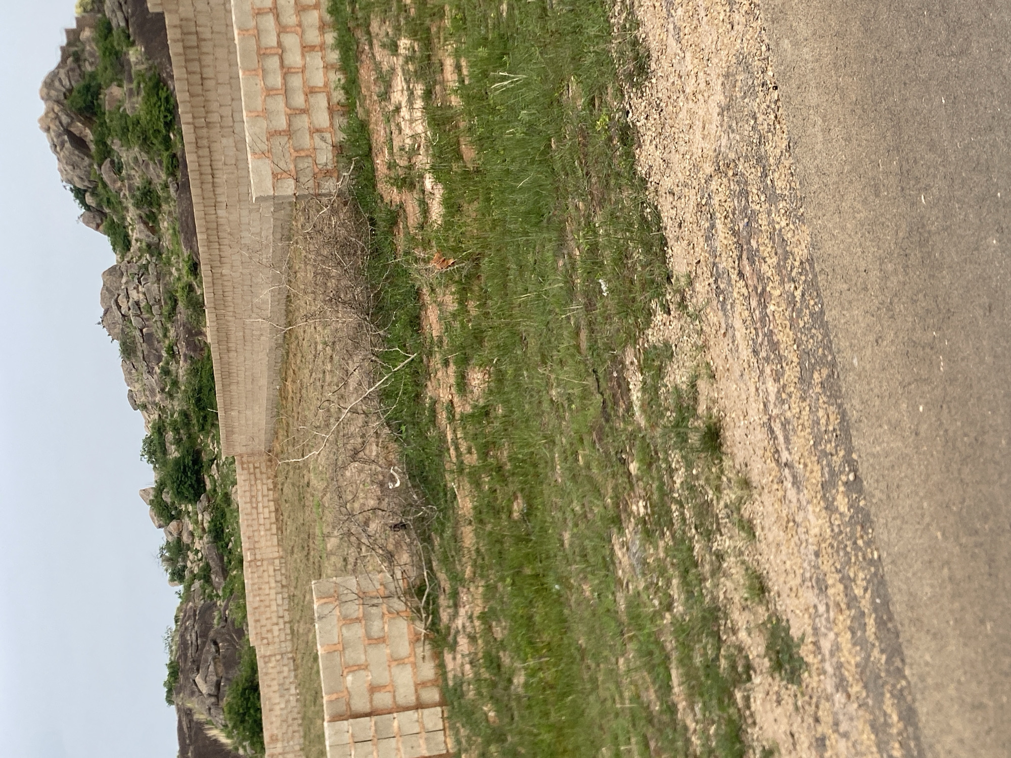 The image depicts an outdoor scene at the base of a rocky, overgrown hill. In the foreground, a dirt road with scattered pebbles runs diagonally from bottom right to top left. Beyond the road, a grassy area is visible, with a few dry branches and twigs scattered on the ground. In the middle ground, a low wall constructed of concrete blocks forms a barrier. The wall is partially built, with some sections complete and others unfinished, revealing the mortar between the blocks. Beyond the wall, the terrain becomes more rugged, with a dense growth of trees and shrubs covering the rocky incline of the hill. The sky is overcast and pale. The scene appears to be in Reifild-Ist, Nigeria, suggesting a rural or semi-developed area. No people or animals are clearly visible, though the possibility of unseen wildlife in the vegetation cannot be ruled out.