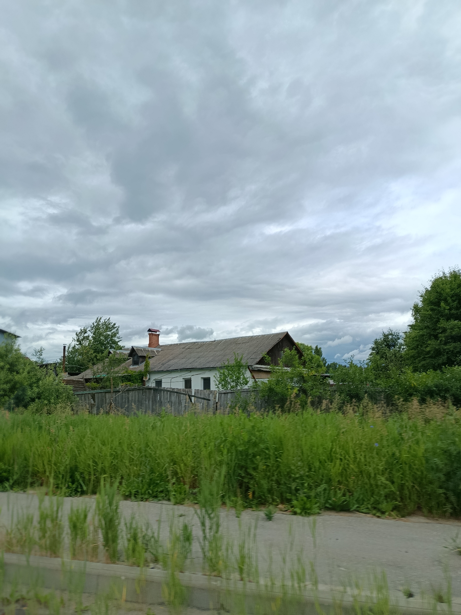 This is an outdoor, eye-level, full shot taken on a cloudy day. In the foreground, a paved area, possibly a sidewalk or road, is bordered by tall green grass and weeds. Behind the grass, a weathered wooden fence runs horizontally across the mid-ground. Beyond the fence, several buildings are visible, including a white house with a dark roof and a visible brick chimney. Dense green trees and foliage surround the buildings. The sky above is overcast with a pattern of grey clouds. The scene appears to be a rural or suburban area in the city of Savinskaya, Russia.