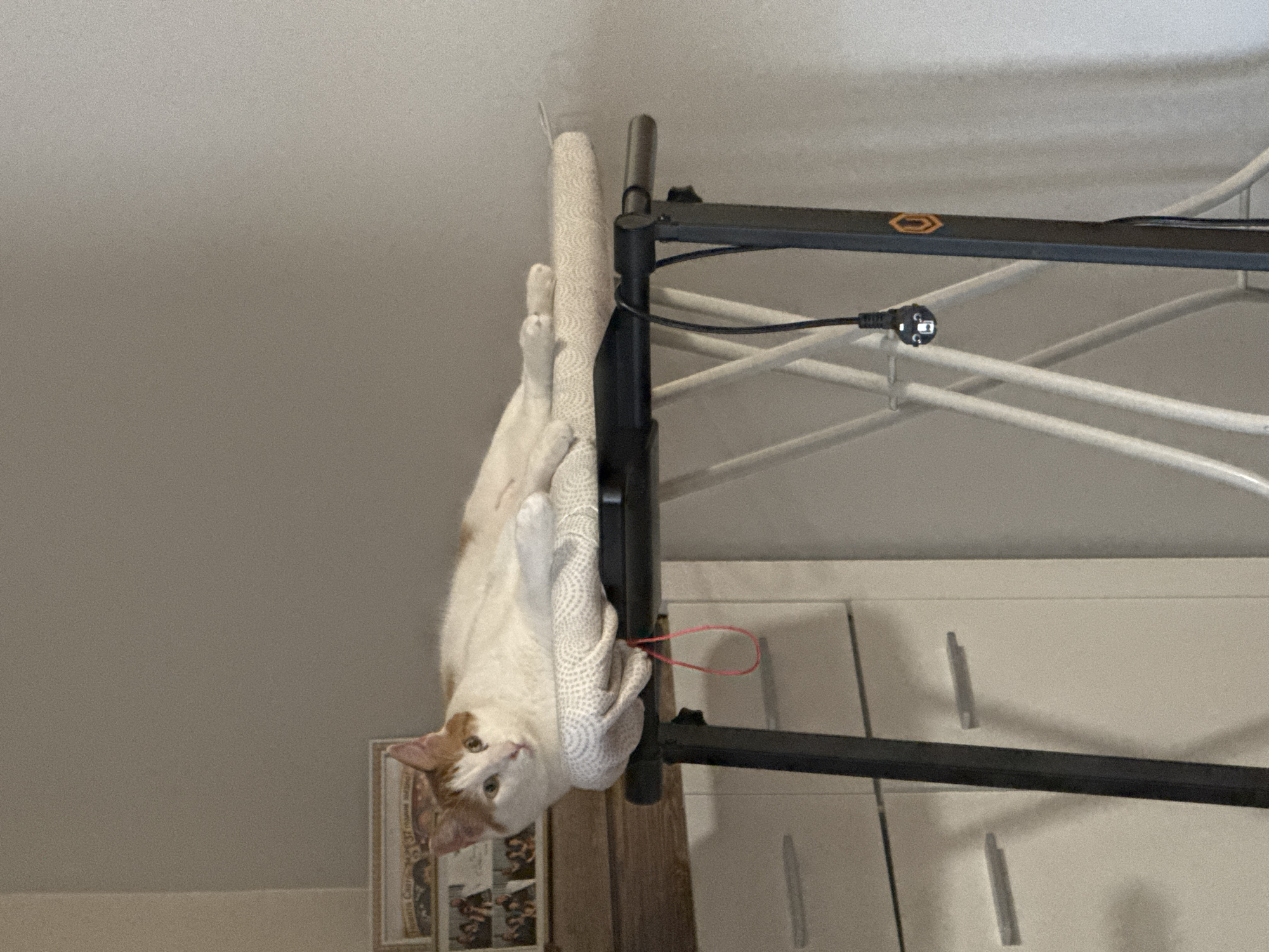 A white cat with orange markings is resting on a padded ironing board set up indoors. The cat is lying on its side, with its front paws tucked in and its hind legs extended. The ironing board is placed on a dark metal stand. Behind the ironing board, there are white cabinets with drawers and handles, and a wall painted in a light neutral color. To the left of the cat, a framed picture is visible on a wooden surface. The overall environment appears to be a domestic setting. The image does not provide any information that would allow for determining the location in the city of Plovdiv, Bulgaria.