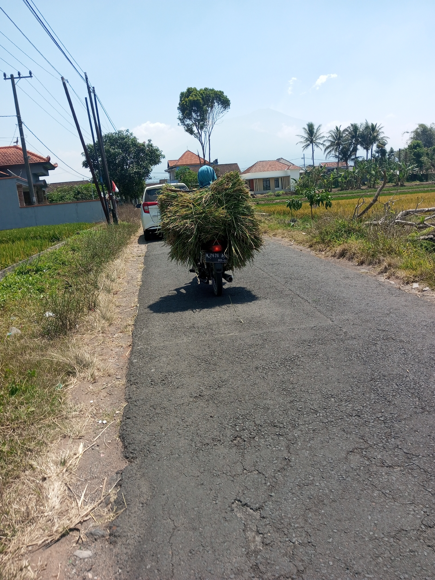 In Purwosari, Klampok, Indonesia, on a sunny day, a person wearing a blue head covering rides a motorcycle loaded with a large bundle of hay down a paved road. The motorcycle, with license plate N 2676 AN, is traveling away from the camera. To the left of the road, there is a grassy verge with some dry straw. Beyond the verge, there is a rice paddy and a house with a tiled roof. Further in the background, there are more houses, palm trees, and a distant mountain under a clear blue sky with a few wispy clouds. A white car is parked on the right side of the road, ahead of the motorcycle. Power lines and poles are visible on the left side of the road.