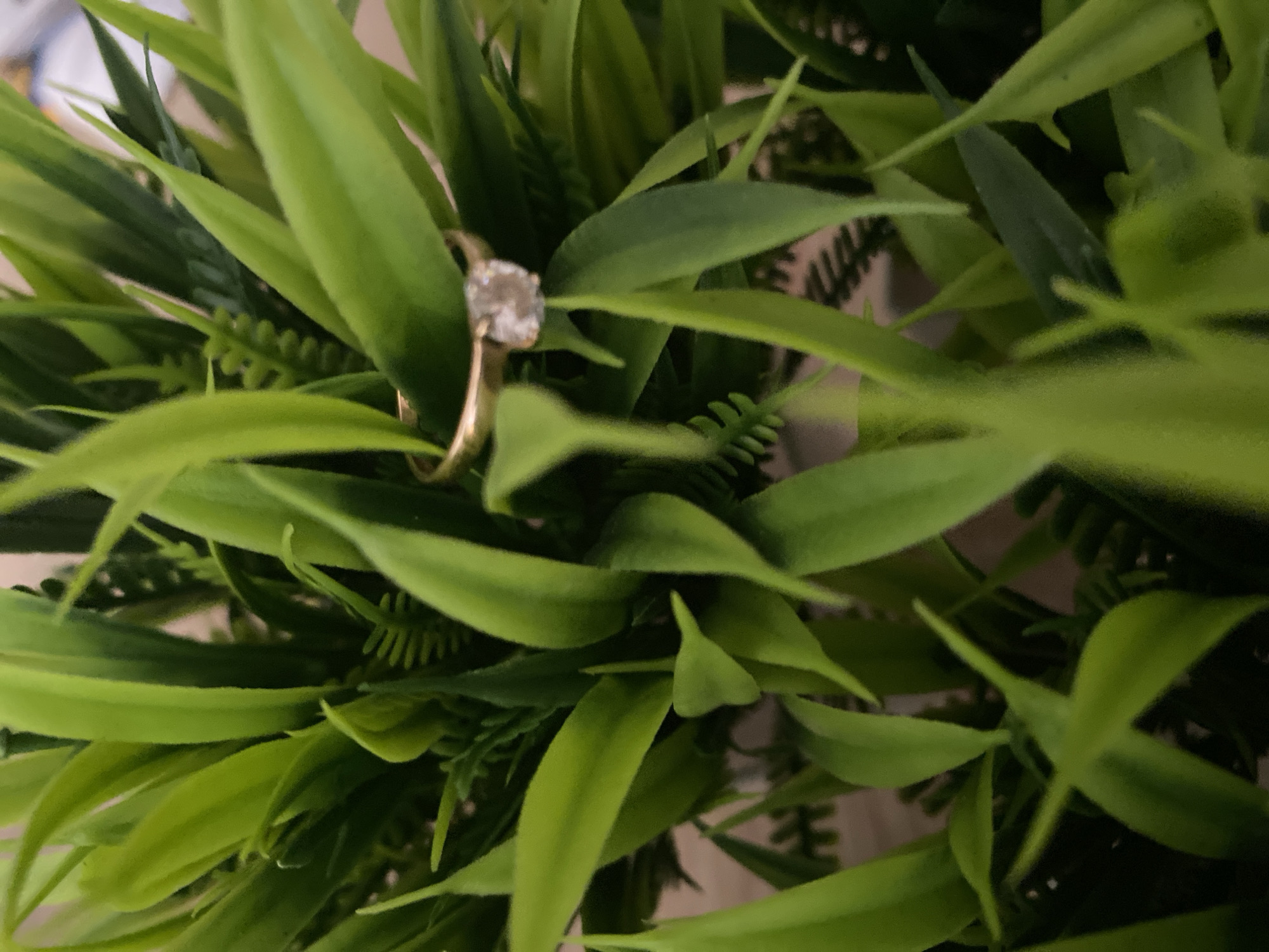 A close-up, top-down view captures a gold ring with a sparkling, round, clear gemstone, likely a diamond, nestled within a dense arrangement of vibrant green artificial foliage. The ring is positioned centrally, slightly to the upper right, with its band and the prominent stone clearly visible among the leaves.
The scene is dominated by various shades of green leaves, which appear to be made of plastic or fabric, characteristic of a decorative artificial plant. The leaves vary in shape, some long and slender, others shorter and broader, creating a lush and intricate texture. Darker green, finer fern-like elements are interspersed deeper within the foliage, adding depth to the arrangement. The background is softly blurred, showing indistinct lighter, muted tones, suggesting an indoor setting.
There is no discernible activity taking place, rather the image is a still-life composition designed to showcase the ring. The ring's polished gold band contrasts with the green leaves, and the gemstone catches the light, exhibiting multiple facets and a bright sparkle. The overall impression is one of elegance and focus on the jewelry piece. No text is visible within the image. The lighting is soft and even, suggesting either diffused natural light or careful artificial illumination, enhancing the details of both the ring and the foliage.