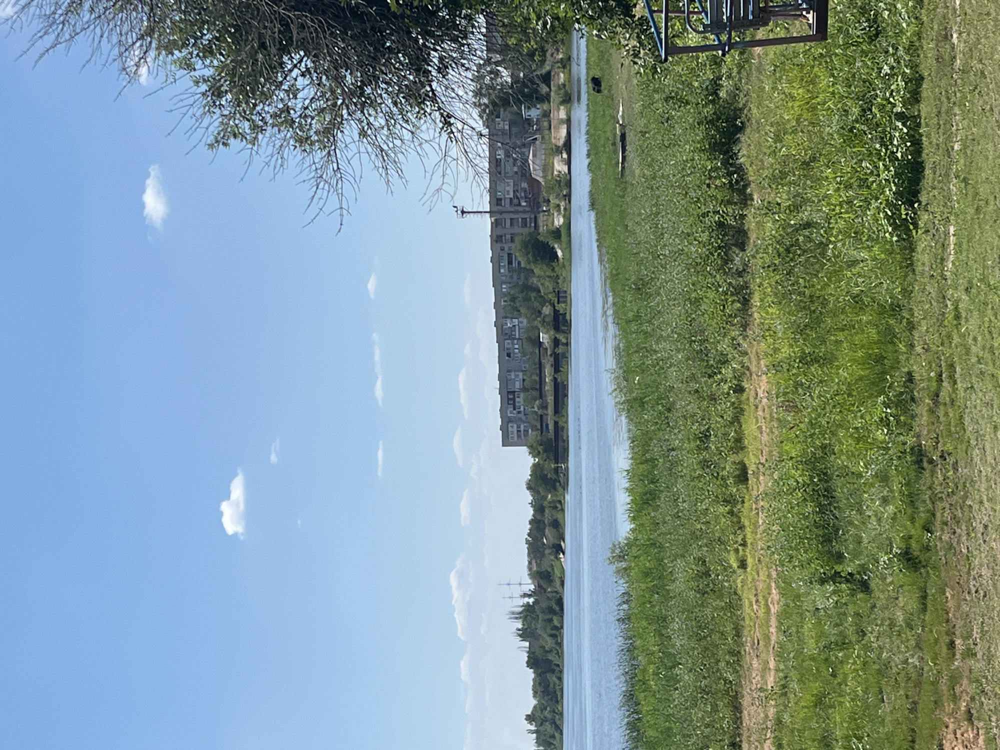 The image depicts a wide, calm body of water, likely a river or bay, under a clear blue sky with scattered white clouds. The foreground is dominated by lush green reeds and grass growing along the bank, with a patch of dry earth visible. Across the water, the opposite bank is lined with trees, beyond which a series of apartment buildings can be seen. A tall industrial structure, possibly a pylon or communication tower, stands among the trees. In the far right of the image, a portion of a blue and metal structure, possibly part of a playground or viewing platform, is visible. The scene appears to be a natural waterfront area adjacent to a populated urban or semi-urban zone. The specific location of Krasnyye Barrikady, Russia is noted.