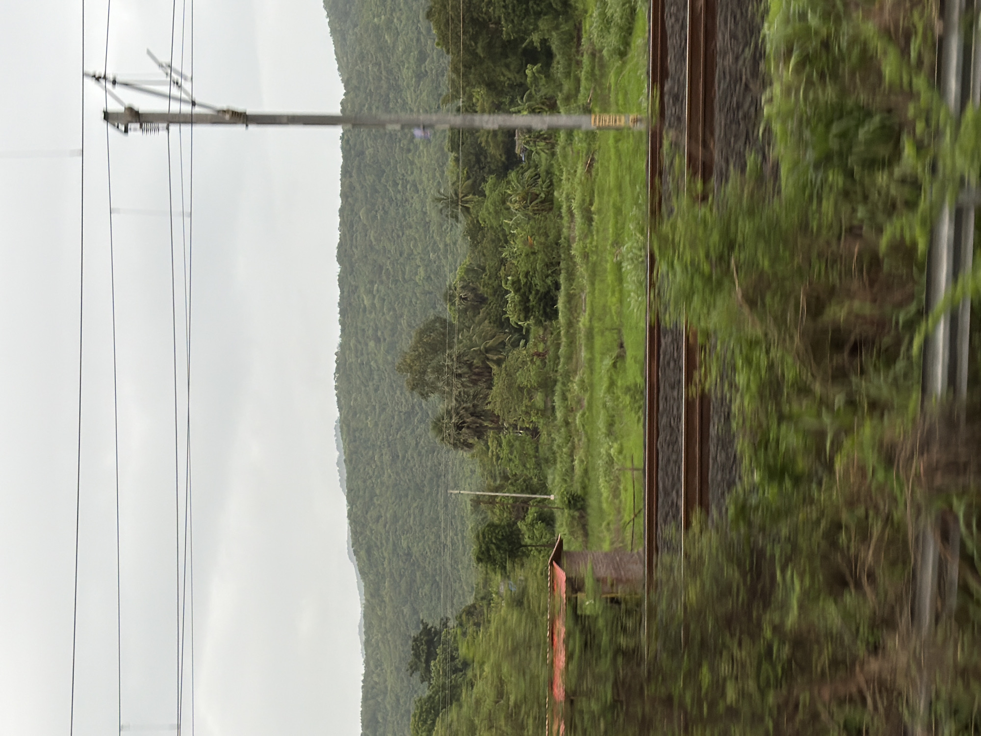 The image depicts a rural landscape in Saphale, India, characterized by lush greenery and overcast skies. In the foreground, a blurred view of a railway track runs horizontally across the frame. To the left of the tracks, a small structure with a red roof is partially visible, appearing somewhat weathered.
Beyond the railway, a vibrant green field stretches out, dotted with various trees and vegetation. The middle ground is dominated by a dense forest that climbs up the gentle slopes of a large, verdant hill. The hill appears to be covered in thick foliage, suggesting a natural, undeveloped environment.
A prominent utility pole, likely for electrical or telecommunication lines, stands tall in the middle-right of the frame, its dark structure contrasting with the surrounding greenery. The sky is a uniform grey, indicating a cloudy or potentially rainy day. The overall impression is one of a tranquil, natural setting, possibly viewed from a moving vehicle due to the motion blur in the foreground.