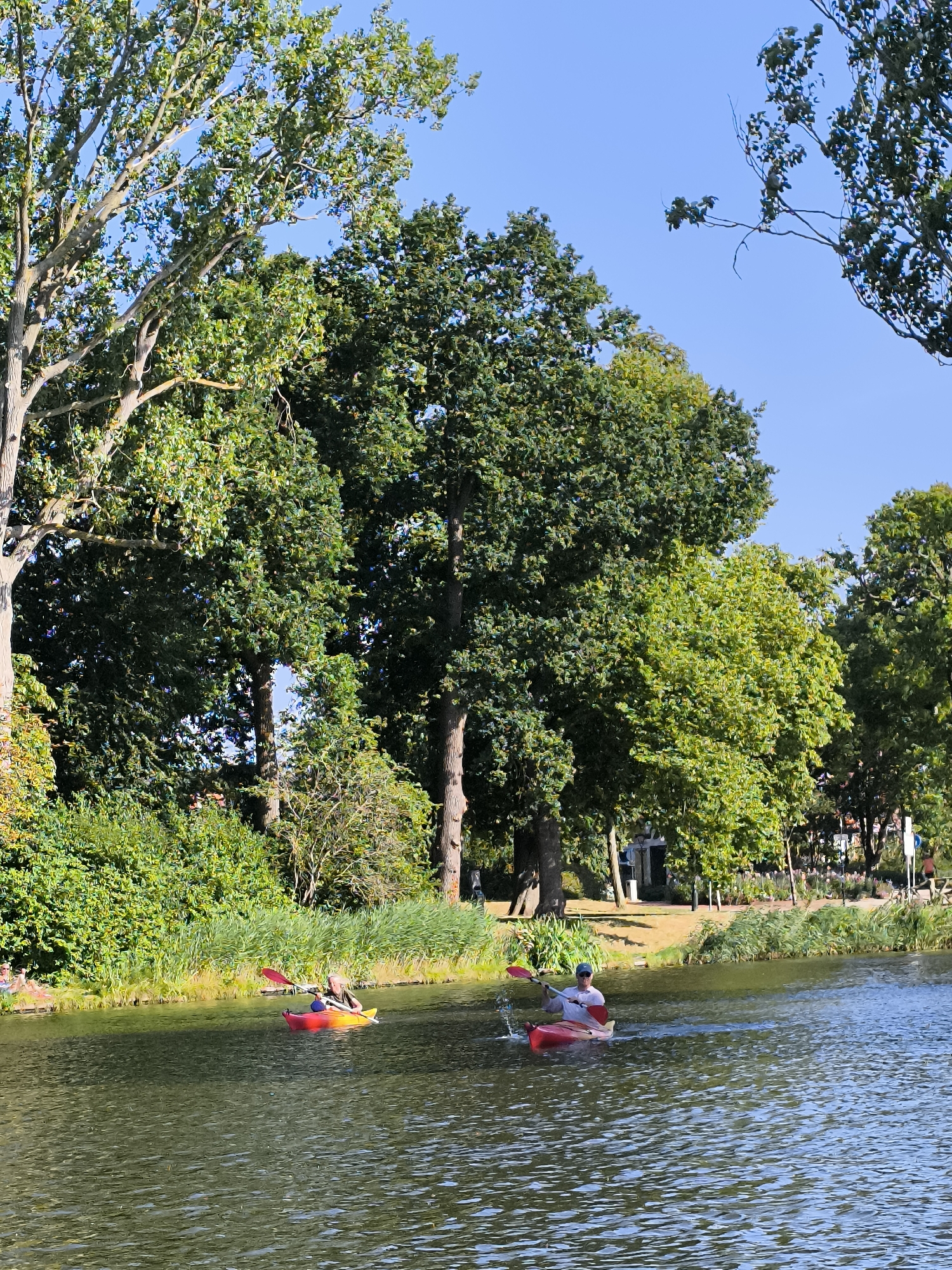 The image depicts a sunny day scene on a body of water, likely a canal or river, in Alkmaar, Netherlands. Two individuals are kayaking. The person in the foreground is wearing a white cap and a light-colored shirt, paddling a red kayak. The person in the background is in a yellow and red kayak, also with a paddle. The water has ripples, suggesting a light breeze. The banks of the waterway are lined with lush green trees and vegetation, with some areas of grass and buildings visible further back. The sky is clear and blue. The overall impression is one of a peaceful, recreational outdoor setting.