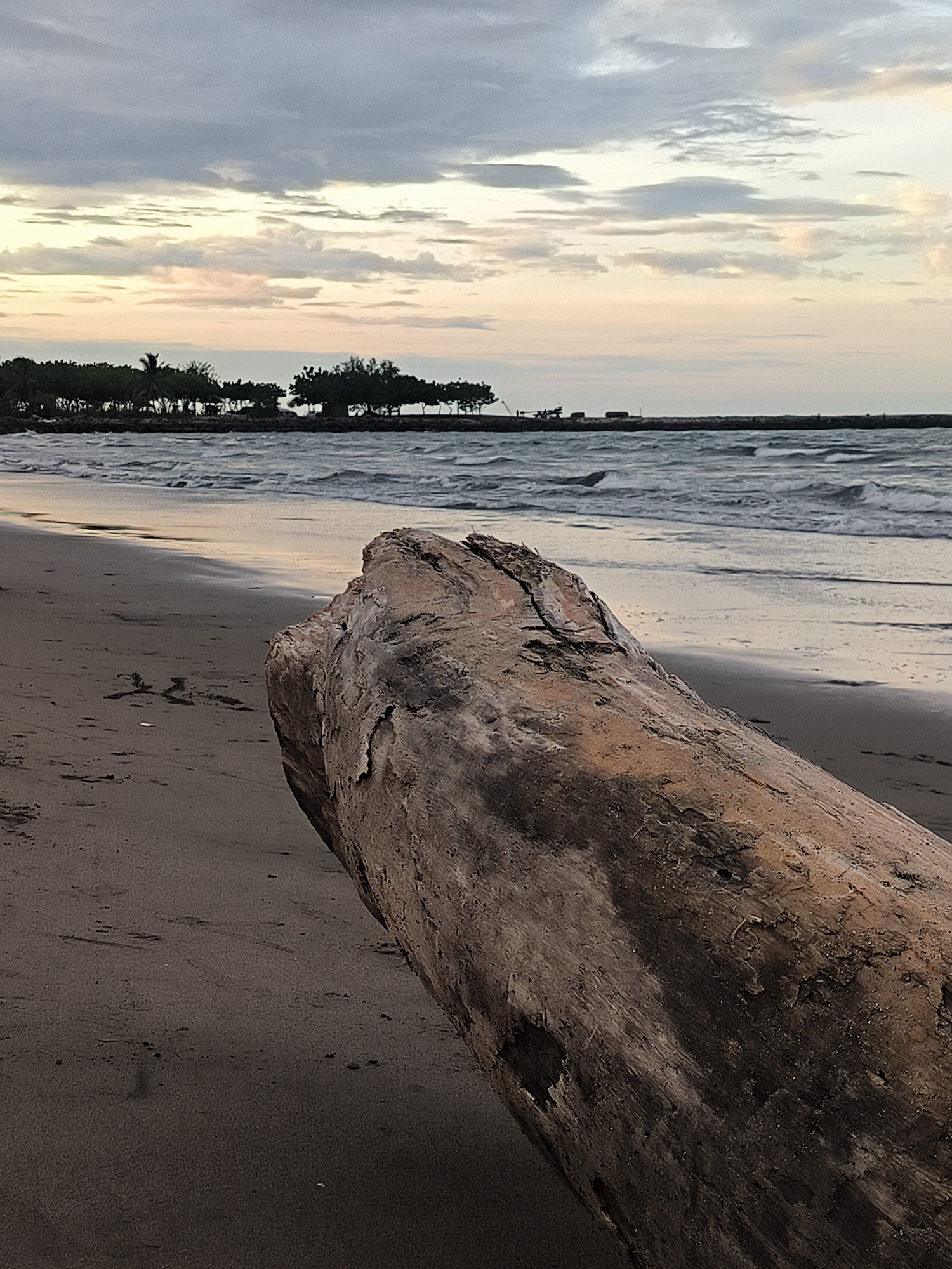 The image captures a coastal landscape at either dawn or dusk in Lhokseumawe, Indonesia. A large, weathered piece of driftwood, displaying a rough texture and deep fissures, is prominently positioned in the lower right and center of the frame, resting on dark grey-brown sand. The sand extends to the left, meeting the ocean, which exhibits moderate wave activity. A gentle reflection of the sky is discernible on the wet sand where the waves recede. In the midground, a low-lying, linear structure, possibly a breakwater or pier, stretches horizontally across the water; several indistinct objects, potentially equipment or small structures, are visible on its surface. Beyond this structure, a dense line of dark green trees and vegetation delineates a distant shoreline. The sky, occupying the upper portion, is overcast with stratocumulus clouds displaying muted tones of grey, white, pale yellow, and faint pink, consistent with a low sun angle. No individuals are present within the depicted scene.