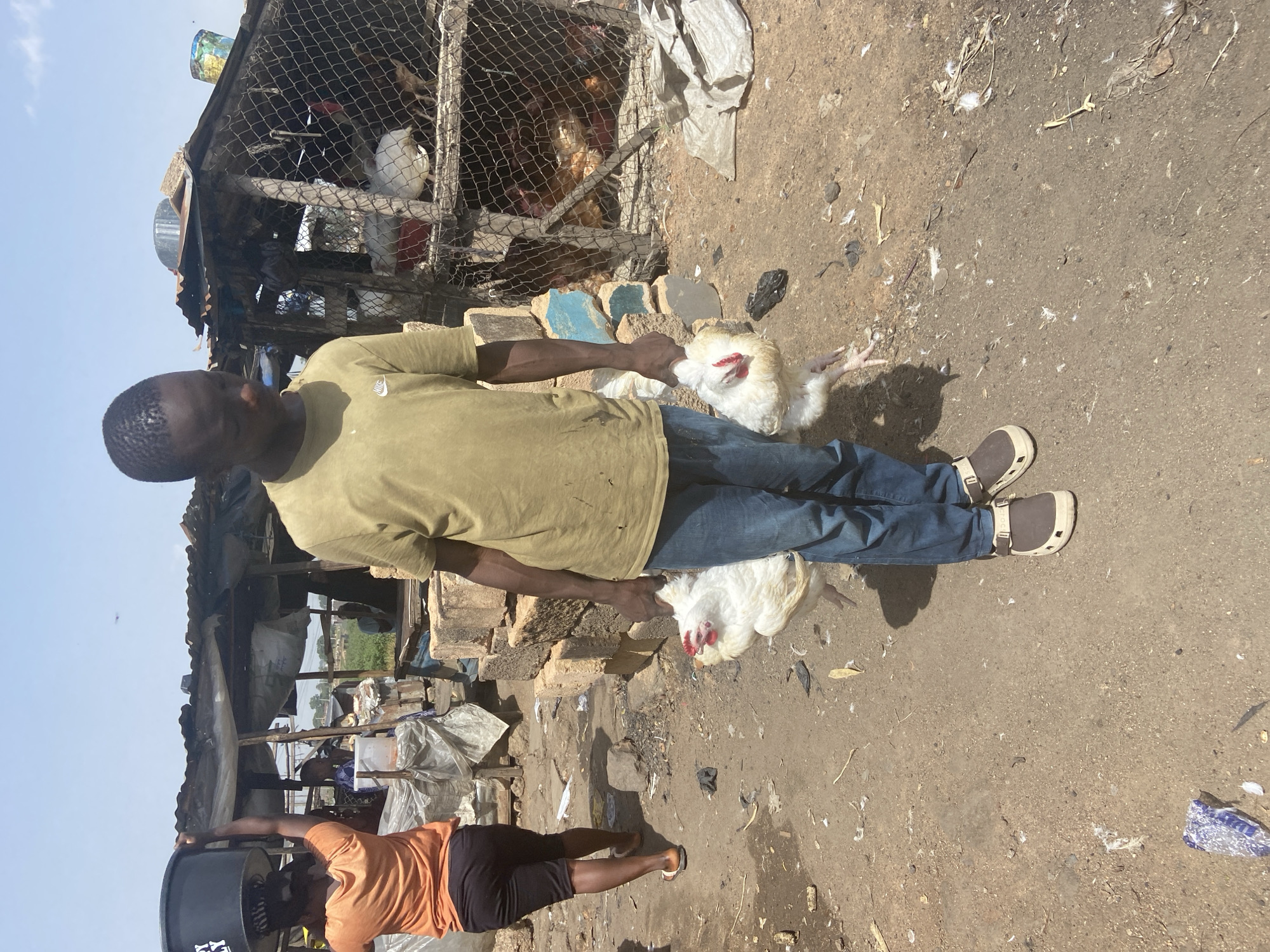 A man in a tan t-shirt and blue jeans is holding two dead chickens by their legs, with their heads dangling down. He is standing in what appears to be an outdoor market or yard. Behind him, there is a rustic structure made of wood and wire mesh, with several more chickens visible inside, some of which are brown and white. The ground is dirt and scattered with debris, including feathers, straw, and plastic bags. Another person, wearing an orange t-shirt and black shorts, is partially visible in the lower left corner, carrying a large black tub. The scene appears to be set in a rural or semi-urban environment in Bukuru, Nigeria, under a bright, clear sky, suggesting a daytime setting. The overall atmosphere seems functional, possibly depicting a scene of commerce or preparation for a meal. There are no visible text elements in the image.