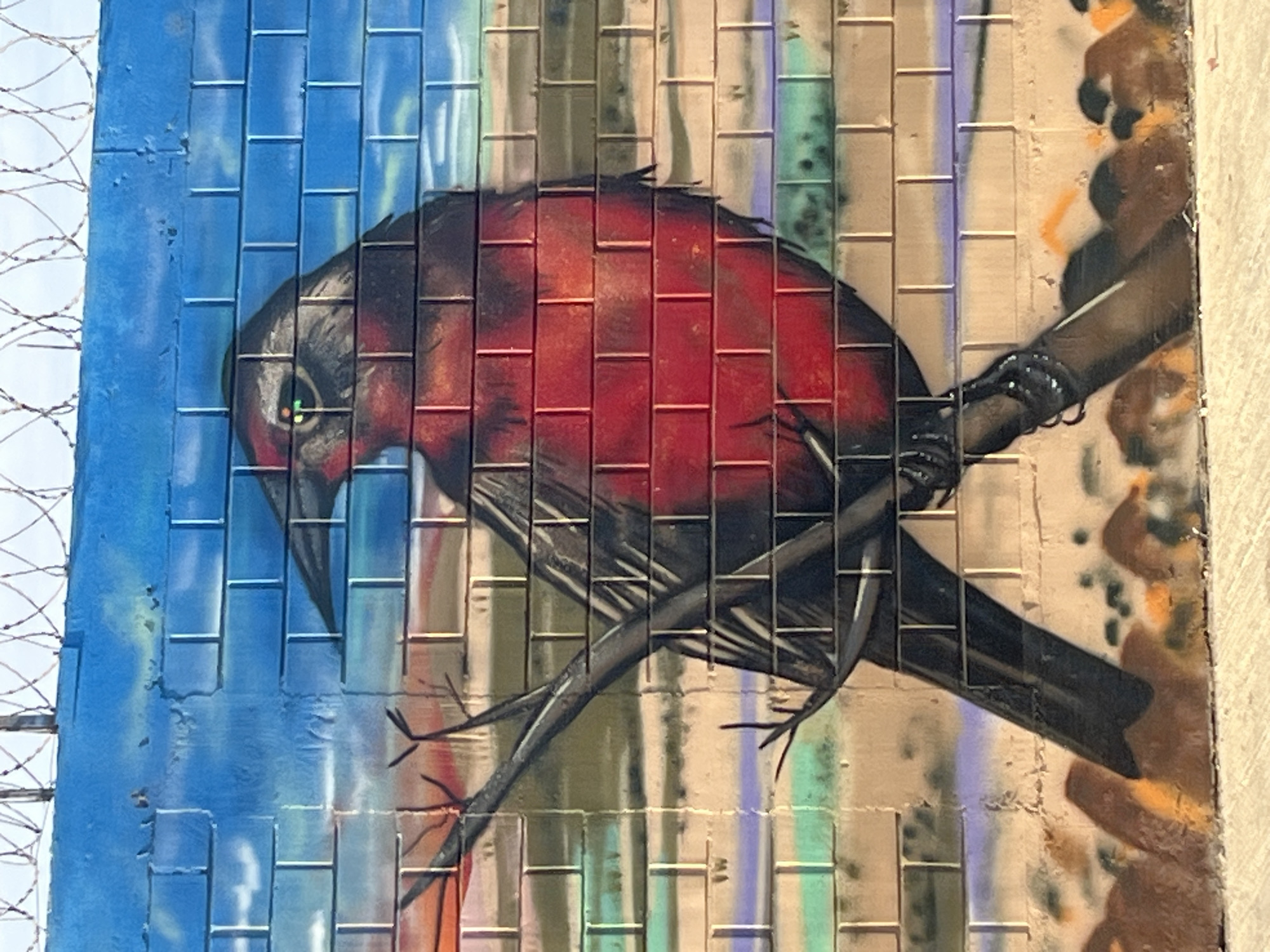 A mural of a red-breasted bird perched on a branch is painted on a brick wall in Arica, Chile. The wall’s background is colored with blue and brown hues and a strand of barbed wire is visible on the upper left. The bird's body is colored red, and its head and wings are black. It perches on a branch painted black and brown. The artwork is in the open environment of the city.