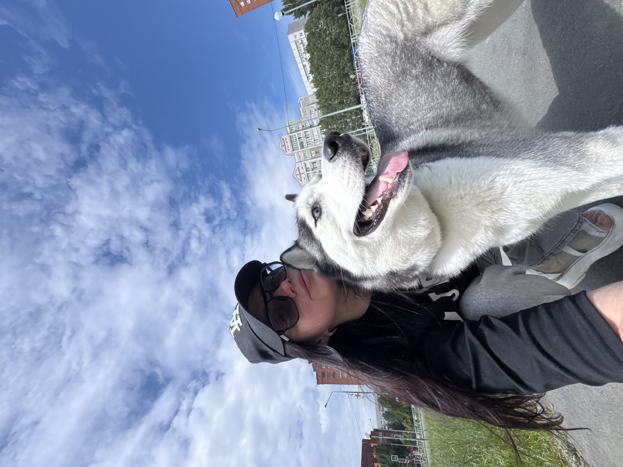 An outdoor, low-angle selfie captures a female individual and a Siberian Husky dog on a sunny day in an urban environment in the city of Unknown, Unknown.
The female, positioned on the left side of the frame, has long dark hair flowing over her left shoulder. She wears a black baseball cap with white stylized lettering (appearing as "LA"), dark-rimmed sunglasses, a black long-sleeved top, light grey jeans (possibly distressed), and white and light-colored sneakers. She is crouching or bending down, looking slightly upwards and towards the right, with a relaxed expression. Her right arm is extended, indicating she is holding the camera.
To her right and slightly in front, a Siberian Husky dog is prominent. The dog has typical grey, black, and white fur markings, with a white muzzle, chest, and undersides. Its left eye, visible in the image, is a striking blue. The dog's pink tongue is extended, suggesting it is panting. Its ears are erect, and its black nose is visible. The dog is positioned close to the woman's face, looking generally forward and to the right.
The scene is set on a dark grey asphalt path or road, with green grass to the left and along parts of the mid-ground. The background features several multi-story buildings, including one large light-colored building with ornate architectural details towards the center-right, and a red brick building on the far left. Various green trees are scattered throughout the background. Two black street light poles are visible, one on the left and one on the right. Traffic signs, including a pedestrian crossing sign and a triangular yield sign, are visible on the left. A white metal fence or railing runs along the roadside in the mid-ground. The sky is bright blue with scattered white, wispy clouds, more concentrated on the left side of the frame. Bright sunlight illuminates the scene, creating distinct shadows.