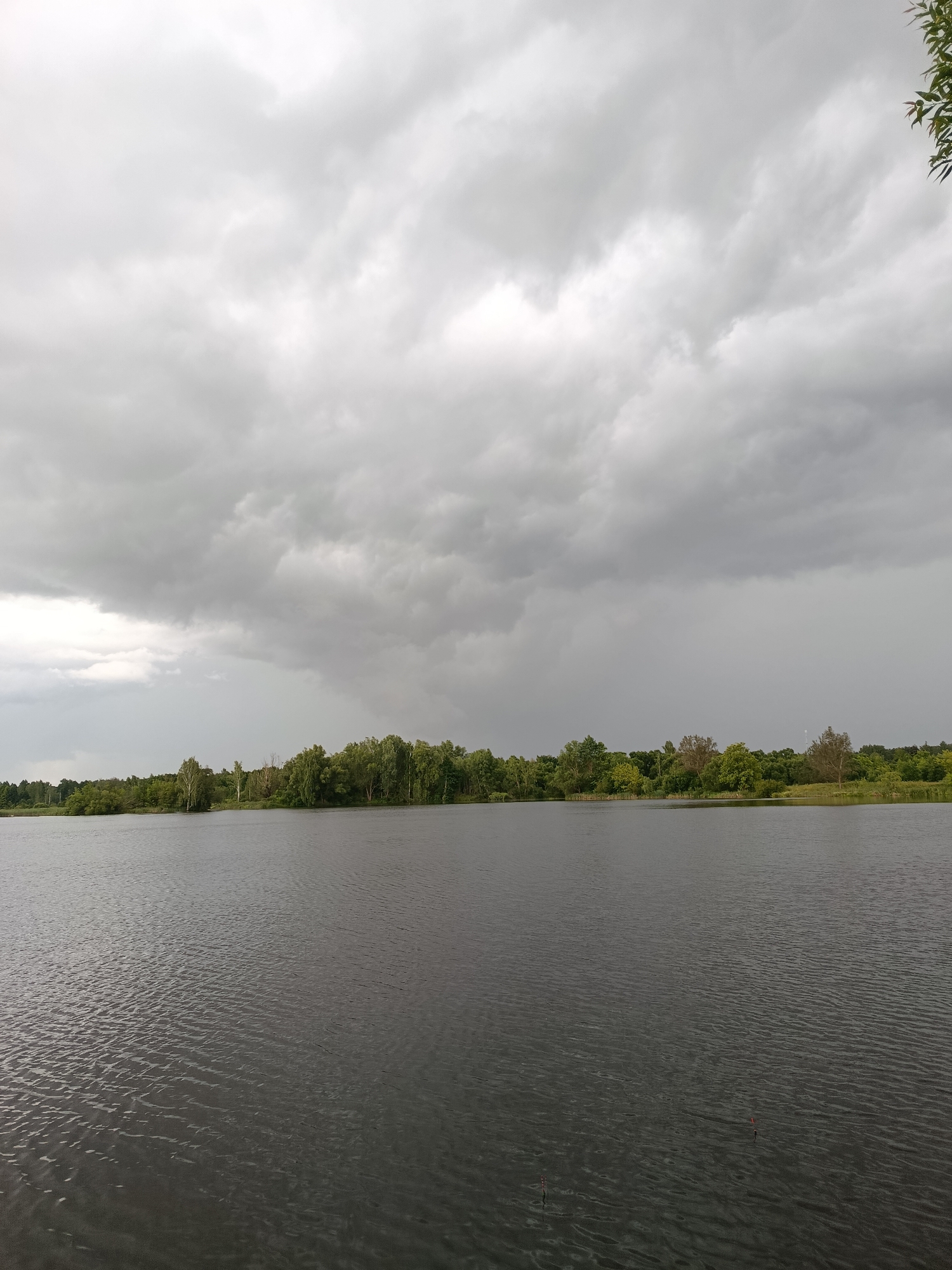 A wide shot shows a dark body of water in the foreground, with gentle ripples reflecting the overcast sky. Beyond the water, a line of lush green trees forms the background, stretching across the horizon. Above the treeline, heavy, grey storm clouds dominate the sky, with pockets of lighter grey and white indicating varying densities of cloud cover. The overall impression is one of an impending storm or the aftermath of one, with the subdued lighting and the moody sky creating a dramatic atmosphere. The scene is tranquil and natural, devoid of any human presence or man-made structures, suggesting a remote or undeveloped area. The location is identified as Manky, Russia.