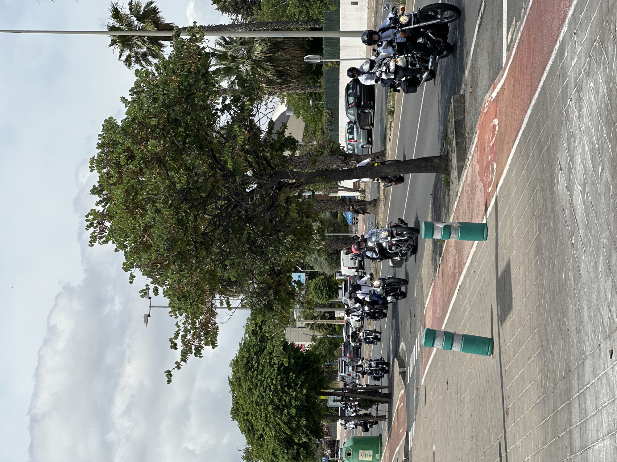 The image captures a scene on a street in an urban environment. A line of motorcycles is the dominant subject, seemingly a group ride with riders wearing helmets and light-colored shirts. The motorcycles are primarily dark-colored, large touring bikes. The vehicles are positioned on a road that is flanked by trees, some of which are palms. The roadway is marked with a red strip and white lines, suggesting a dedicated lane or pedestrian zone. Green and white bollards are spaced along the edge of the pavement. In the background, there are buildings and other parked cars, suggesting a residential or commercial area. The sky is overcast, and the scene appears to be during daylight hours. There are no overt indications of the city or region.