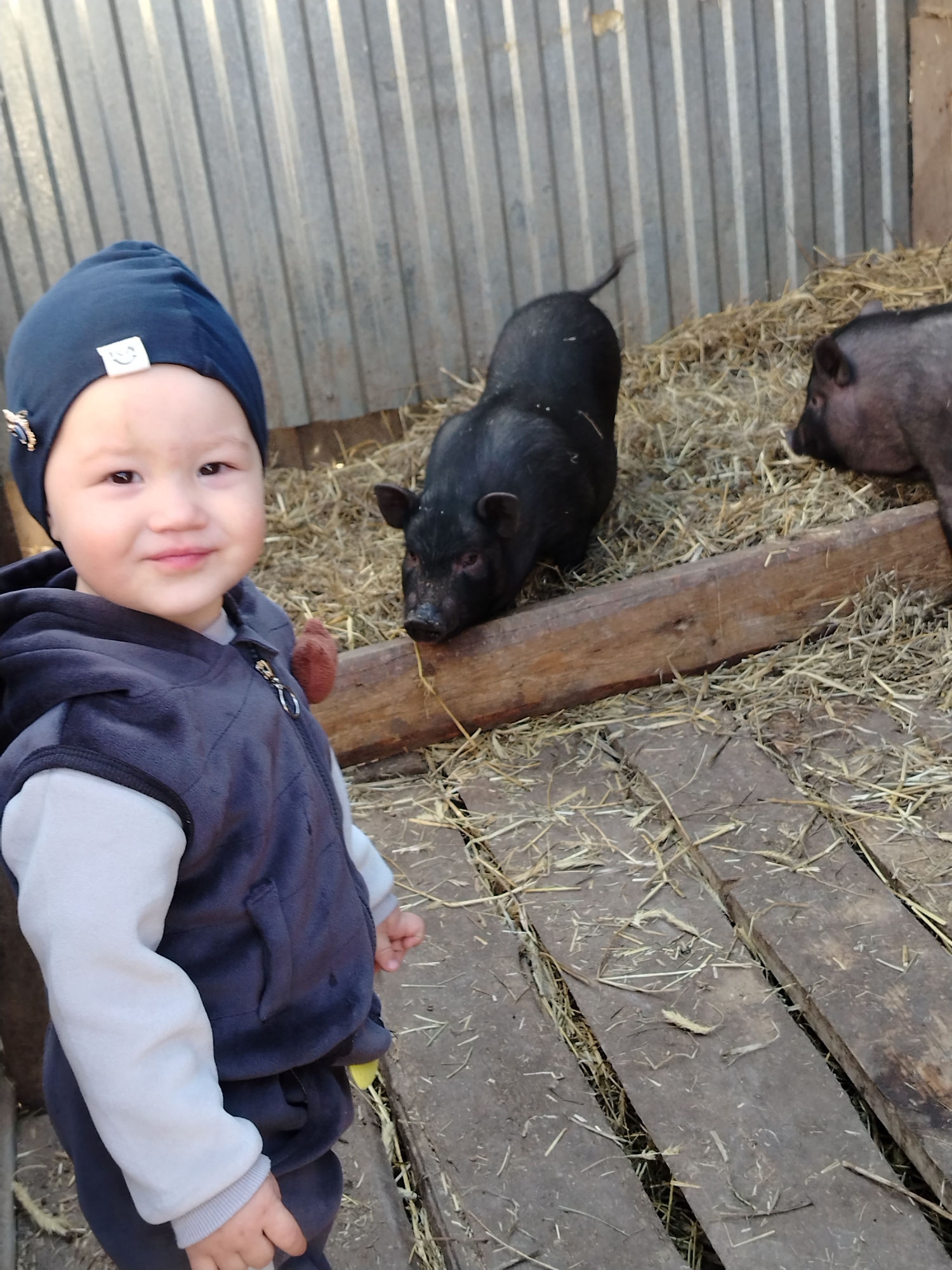 A child in a navy blue hat, a light grey long-sleeved shirt, and a navy blue vest stands on a wooden pallet-style floor. Behind the child, inside a pen enclosed by corrugated metal sheets, are two pigs on straw. One pig is black, and the other is dark grey. The location is consistent with a rural area, possibly within or near Гожан, Russia, given the vernacular architecture and presence of livestock.