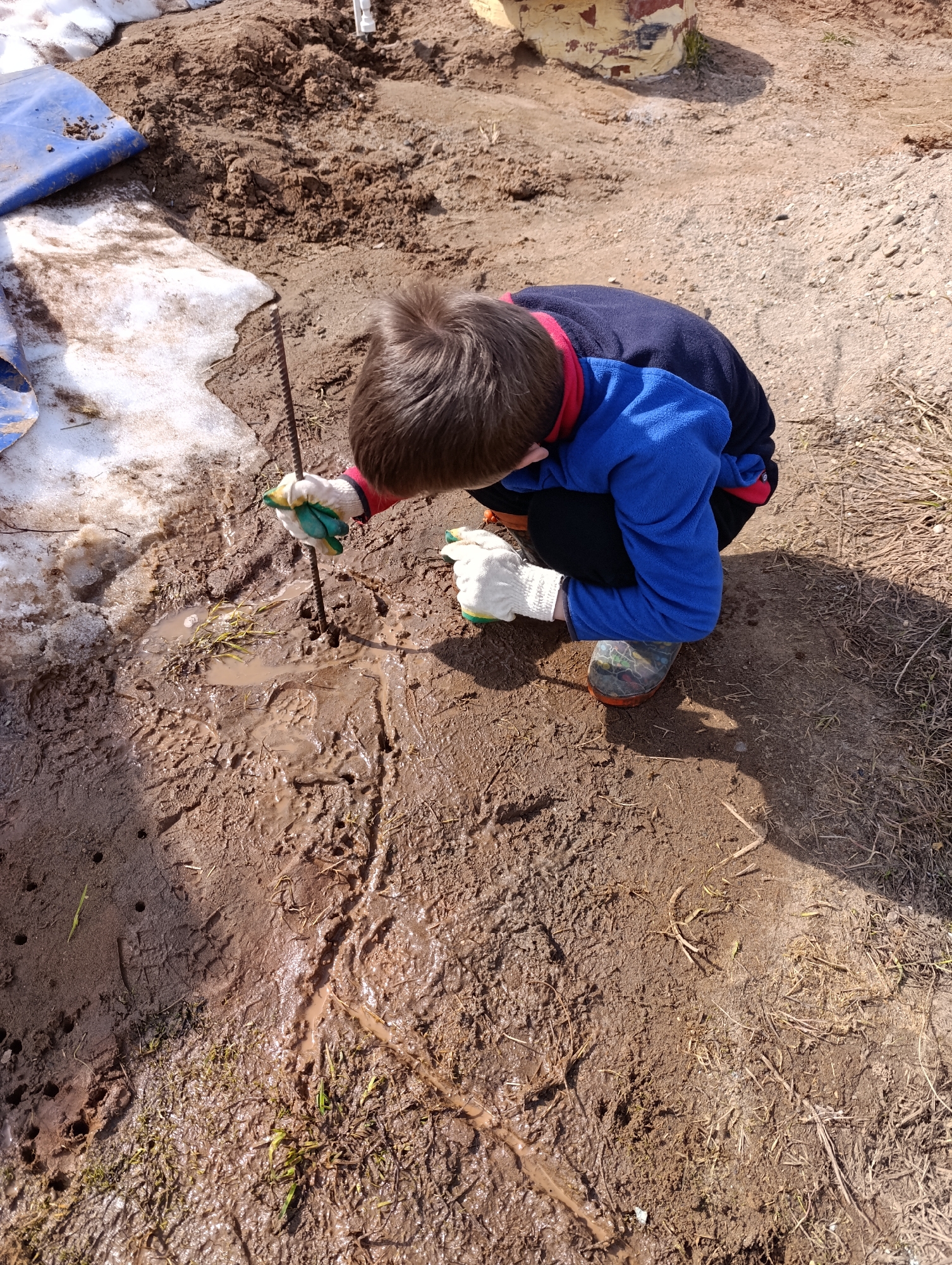 An outdoor scene in Chaikovsky, Russia, depicts a child squatting down and engaging with a muddy patch of ground under bright daylight. The child, seen from an elevated perspective, is wearing a blue long-sleeved top with red trim, dark pants, and colorful rubber boots. White and green work gloves cover their hands as they hold a dark metal rod, which they are using to poke into the wet, brown earth.
The ground is a mixture of damp soil, thick mud, and standing water, with visible footprints and impressions in the sludge. To the left, patches of melting snow or ice are present, alongside a partially visible blue tarp. The overall environment suggests an early spring setting, characterized by thawing conditions. Further in the background, drier soil and a light-colored, possibly concrete or painted object are visible. The strong shadows cast on the ground indicate a sunny day, likely mid-morning or afternoon. The child appears focused and engrossed in their activity of exploring the muddy terrain. No visible text is present in the image.