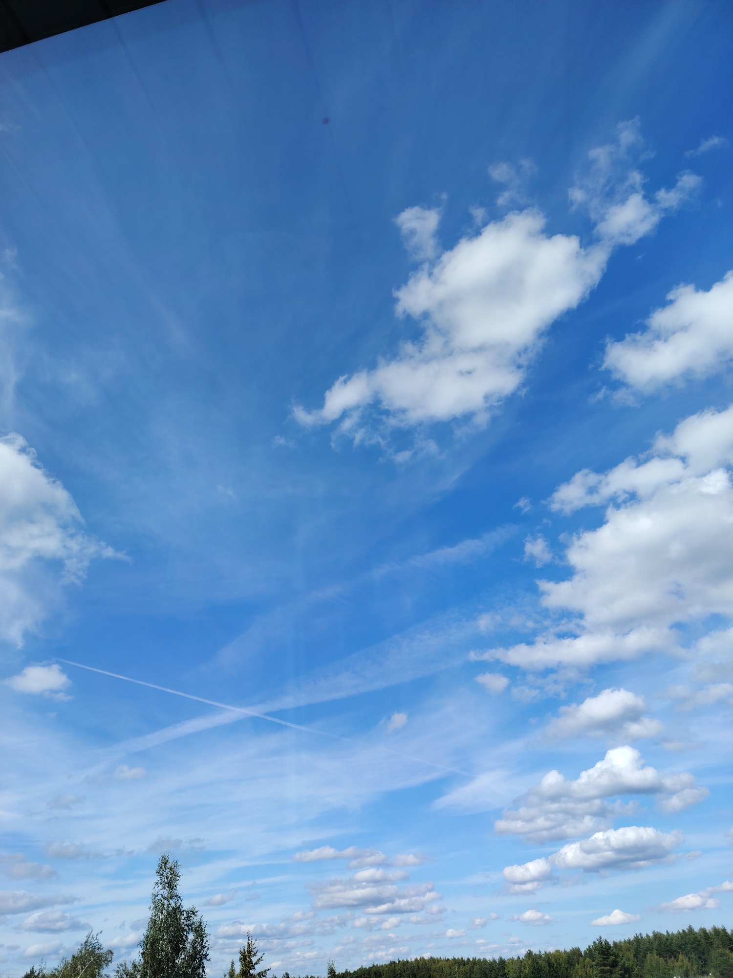 The image captures a clear blue sky with scattered white clouds. Several contrails from aircraft crisscross the sky, forming an "X" shape in the lower half of the frame. Below the sky, a dense line of green trees forms the horizon, with a few taller trees poking above the tree line. The image appears to be taken from a slightly elevated perspective, possibly a window or balcony, as a dark band runs across the very top edge of the frame, suggesting an overhang or structure. The scene is devoid of people or any discernible action. The overall impression is of a bright, clear day with a busy sky.