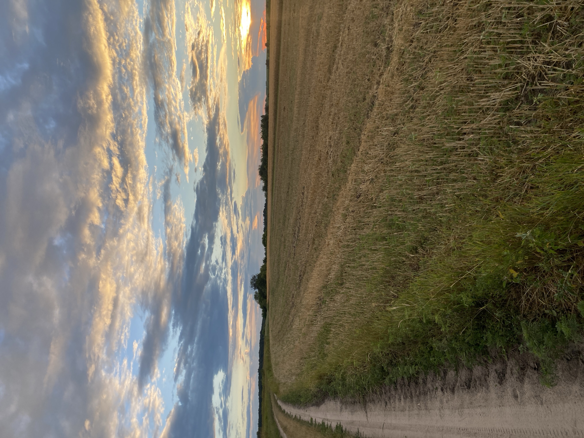 The image depicts a dirt road curving to the left through a harvested field of dry grass and stubble. The field extends into the distance, meeting a line of trees and bushes on the horizon. Above the field, the sky is filled with dramatic clouds, tinged with the warm colors of sunset. The sun is visible on the right side of the frame, casting a golden glow on the clouds and the landscape. The scene appears to be a rural landscape, possibly in or near Yablunivka, Ukraine, given the context. There are no people or animals visible in the image, and no actions or interactions are taking place. The environment is characterized by open fields, a dirt path, and a vibrant sky.