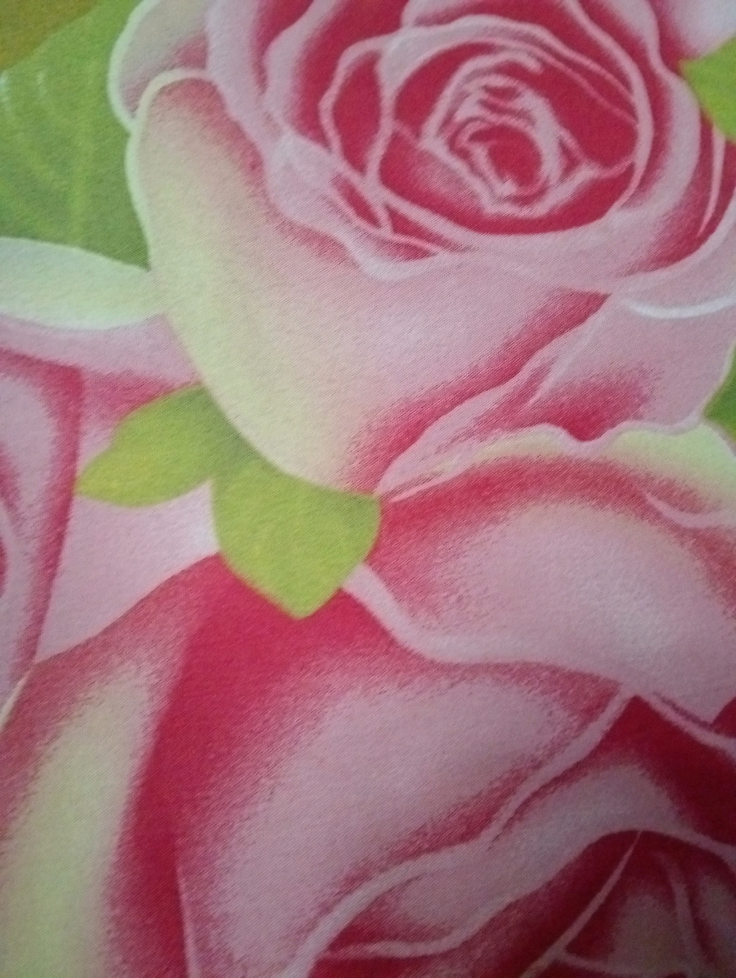 The image is a close-up, top-down shot of a floral patterned fabric. The pattern features large, stylized pink and white roses against a green background. The fabric appears to be textured, with visible threads that create a slightly blurred effect. The roses are depicted with layered petals, rendered in soft gradients of pink and white, with darker pink outlines defining some of the edges. Green leaf-like shapes are interspersed between the roses. The lighting is even, highlighting the soft colors and textured surface of the fabric. There are no people, animals, or specific environmental elements visible beyond the fabric pattern itself. The image does not depict any identifiable location in Loa Janan Ulu, Indonesia, or any other specific geographical setting. It is solely a close-up of a textile design.