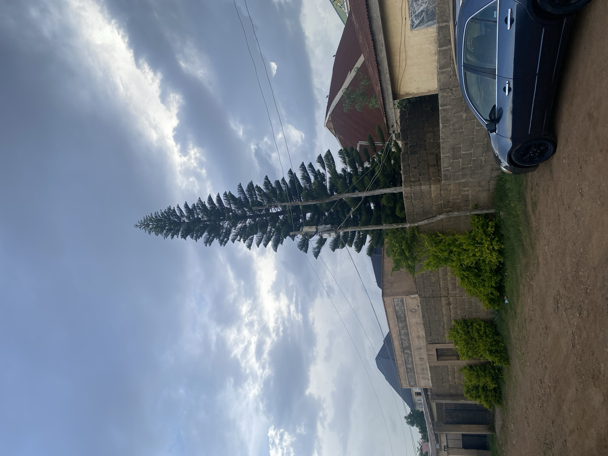 The image captures an outdoor scene in Gura Top, Nigeria, likely during the daytime with cloudy weather. The central focus is a tall, coniferous tree that appears to have been modified to resemble a cell tower, with antennas and equipment attached to its branches. This unusual "tree" stands against a backdrop of a partly cloudy sky, with sunlight breaking through some of the clouds, creating bright patches.
To the right of the tree, several buildings are visible. One building has a reddish-brown corrugated metal roof and light-colored walls made of concrete blocks. Another building, further to the right, also features concrete block construction and has a smooth, light-colored facade with horizontal decorative elements. A dark-colored car, possibly a sedan, is parked on a dirt or gravel surface in front of the buildings. The ground in the foreground is a mix of dirt and sparse vegetation.
The scene suggests an urban or semi-urban environment where modern infrastructure, like telecommunications, is integrated with natural elements or disguised within them. The weather appears overcast but not actively raining, and the lighting suggests it is not early morning or late evening. There are no people visible in the frame.