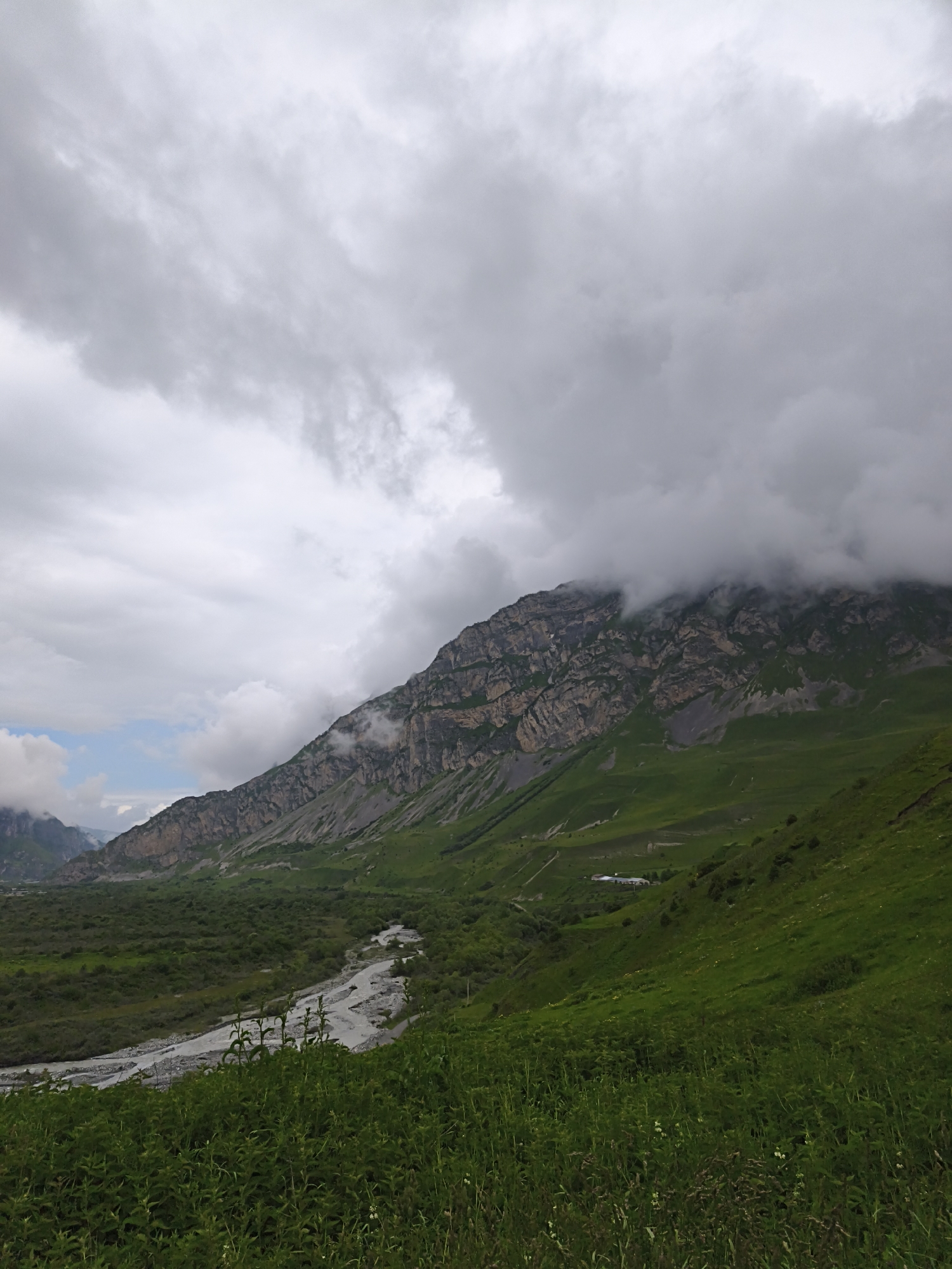 This is a vertical, eye-level, wide-angle photograph capturing a majestic mountain landscape in Dargavs, Russia. The scene is dominated by a large, imposing mountain range on the right, its rocky slopes striated with layers of light and dark stone. Thick, gray clouds partially obscure the summit of the mountain, creating a dramatic and somewhat moody atmosphere. The lower slopes of the mountain are covered in vibrant green grass, with patches of darker vegetation.
In the valley below, a winding, rocky river flows through a lush, green expanse dotted with trees. A dirt road is visible alongside the river, and further in the distance, nestled on the hillside, is a small cluster of buildings, possibly a village or a remote settlement. The foreground of the image is filled with tall, wild green grass and plants, adding a sense of depth and natural texture to the scene.
The weather appears to be overcast and possibly a bit stormy, given the heavy clouds. The time of day is not explicitly discernible, but the lighting suggests it could be late afternoon or early morning. The overall mood conveyed by the image is one of natural grandeur, rugged beauty, and a sense of isolation. There is no visible text in the image.